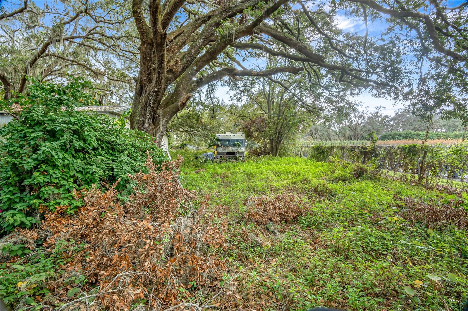 6615 THONOTOSASSA RD, PLANT CITY, FL, 33565