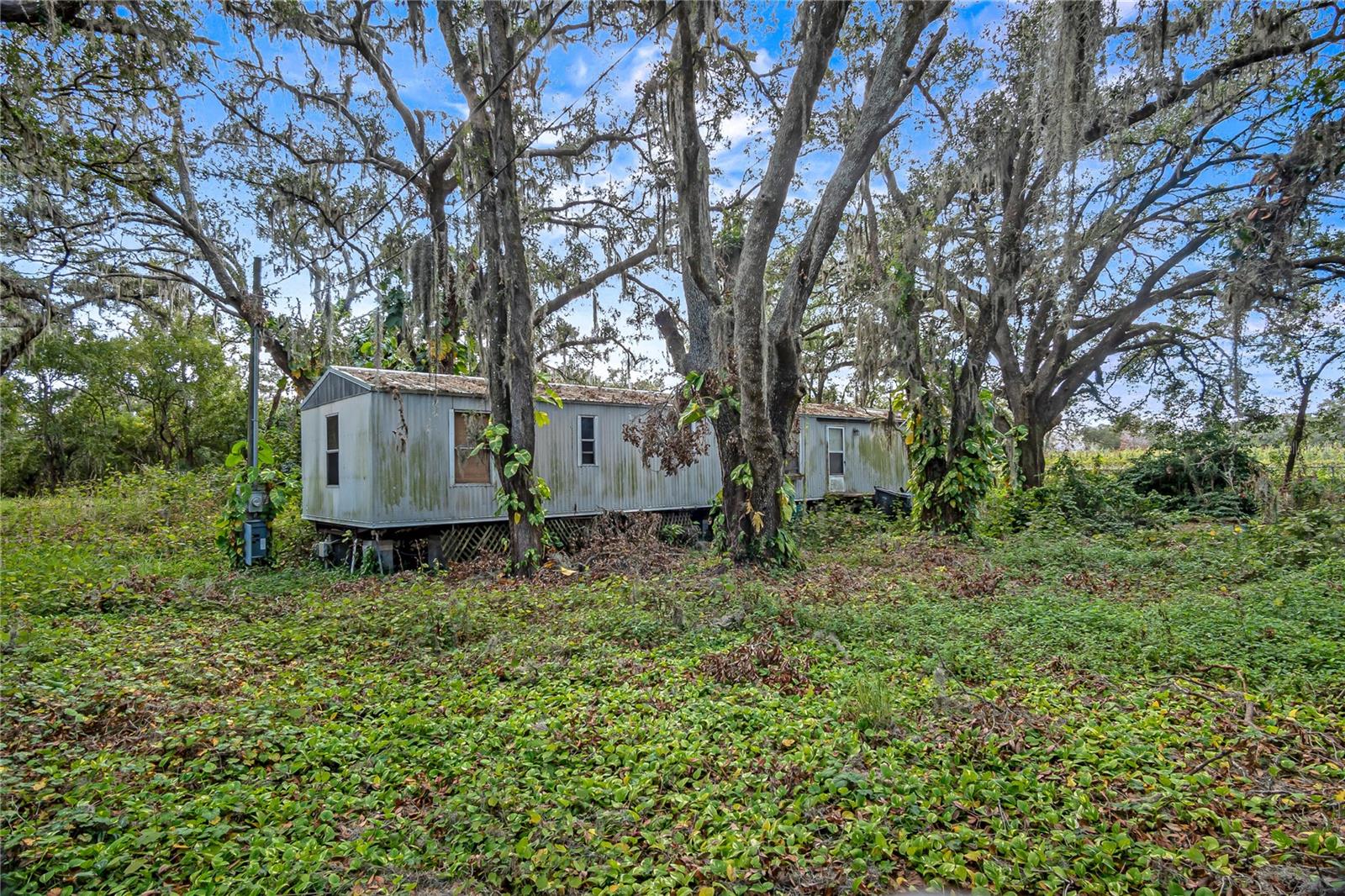 6615 THONOTOSASSA RD, PLANT CITY, FL, 33565