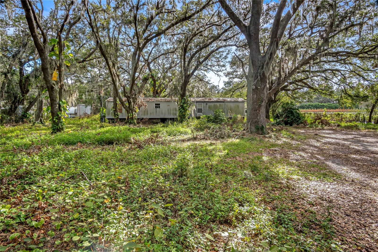6615 THONOTOSASSA RD, PLANT CITY, FL, 33565