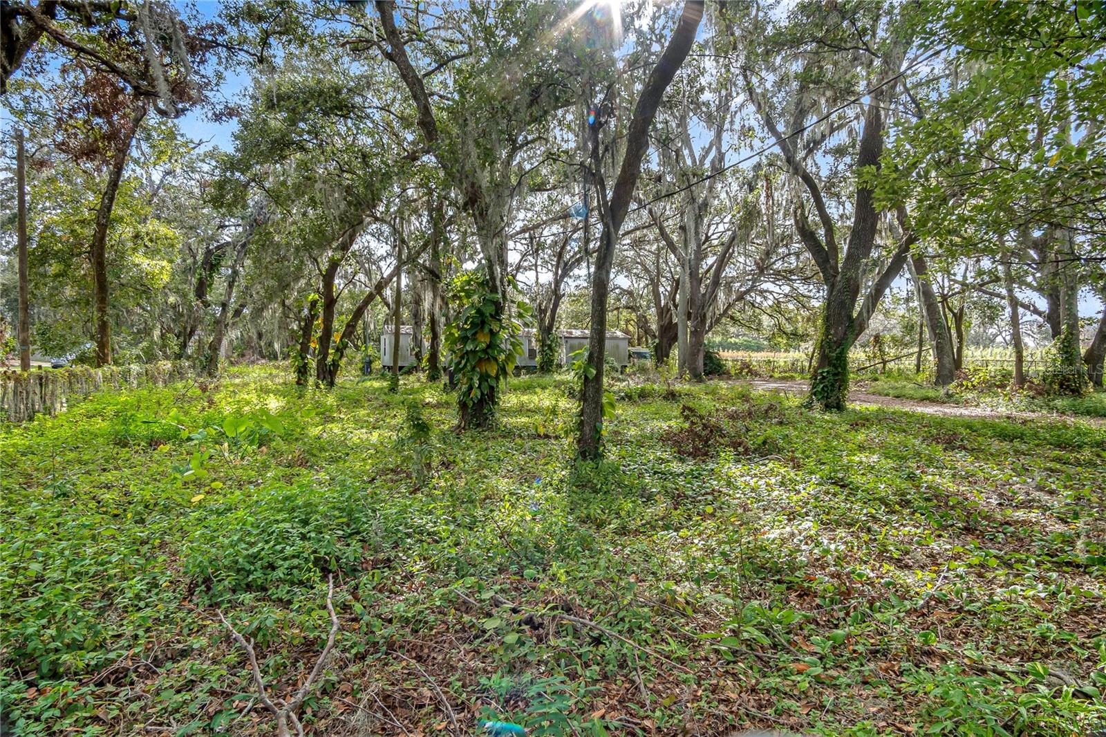 6615 THONOTOSASSA RD, PLANT CITY, FL, 33565