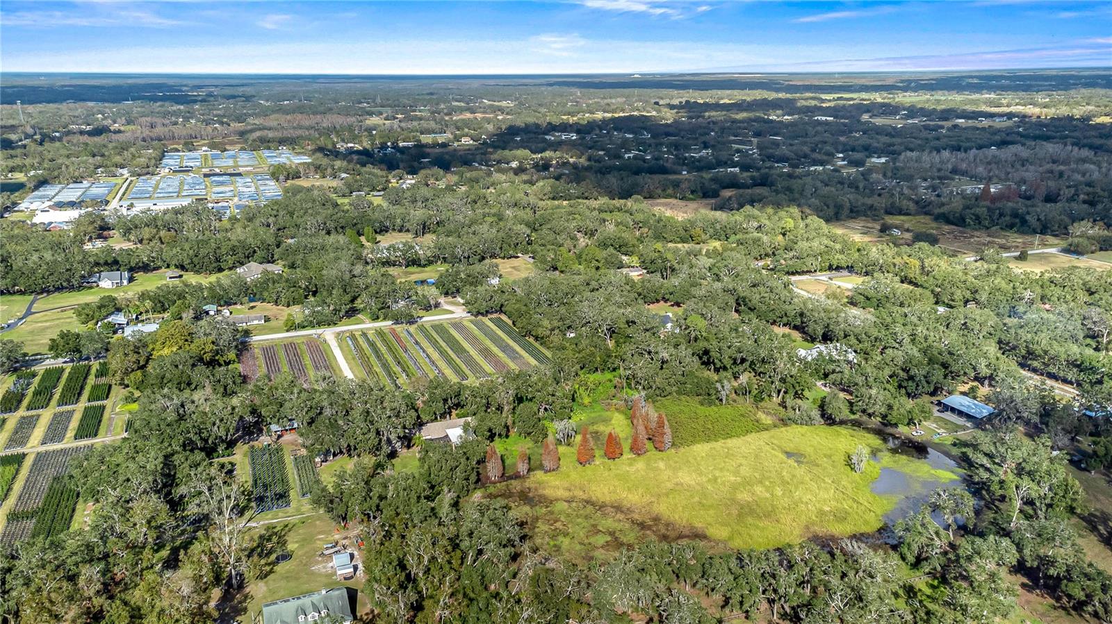 6615 THONOTOSASSA RD, PLANT CITY, FL, 33565