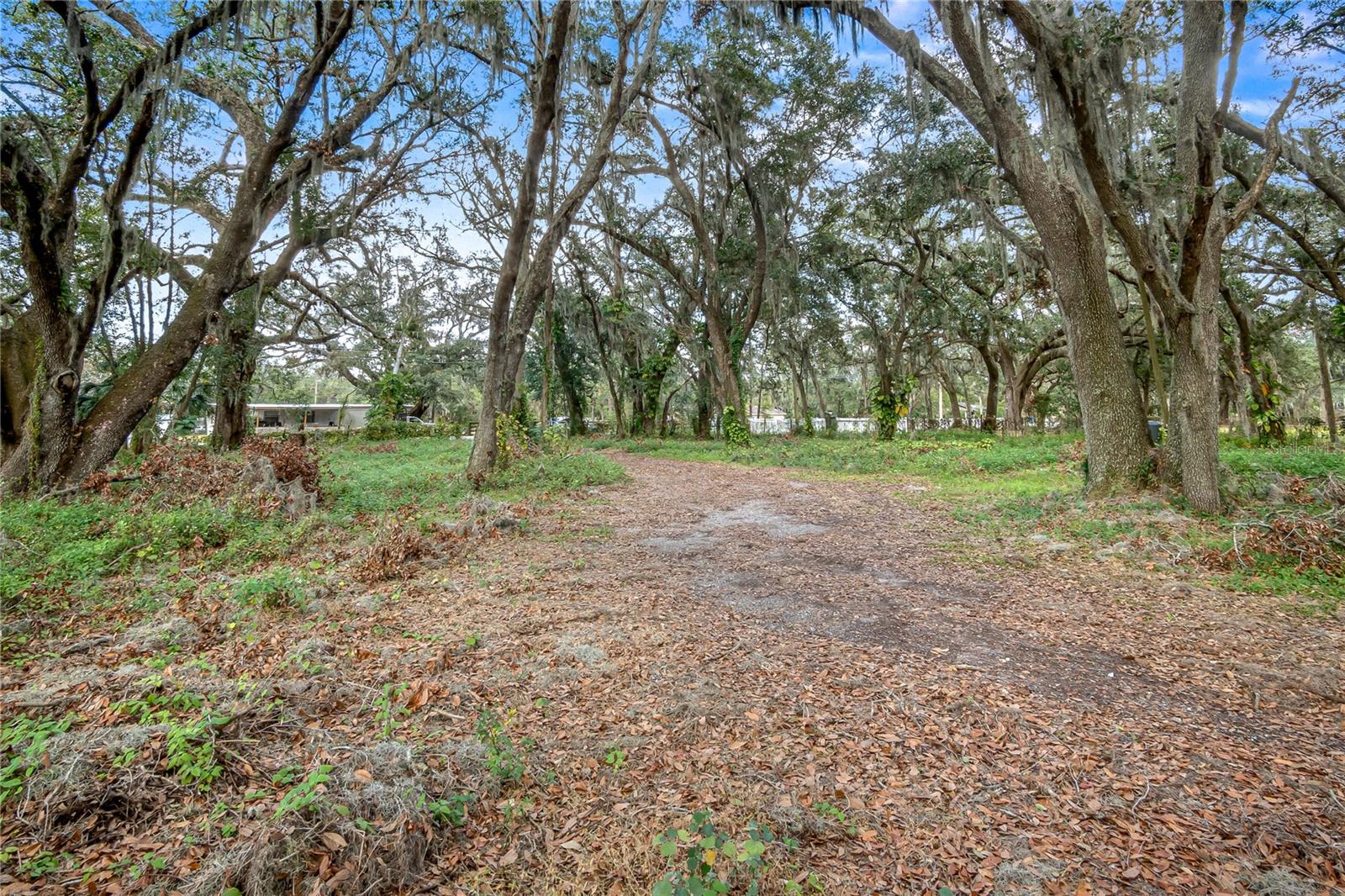 6615 THONOTOSASSA RD, PLANT CITY, FL, 33565