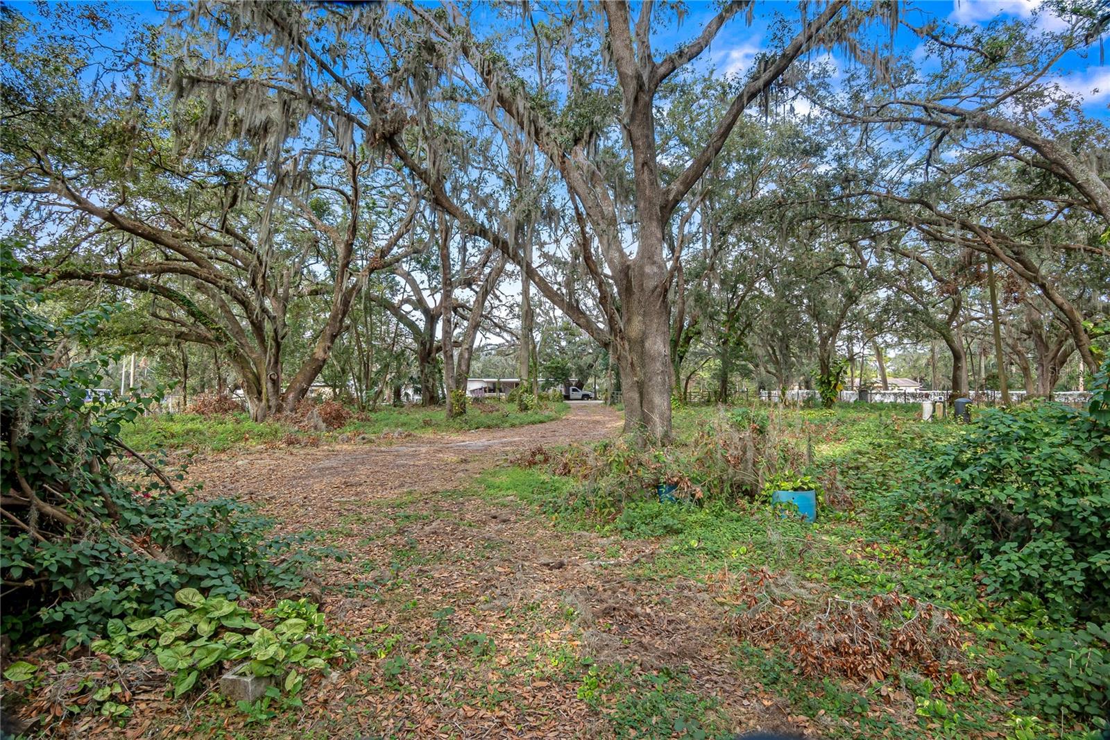 6615 THONOTOSASSA RD, PLANT CITY, FL, 33565