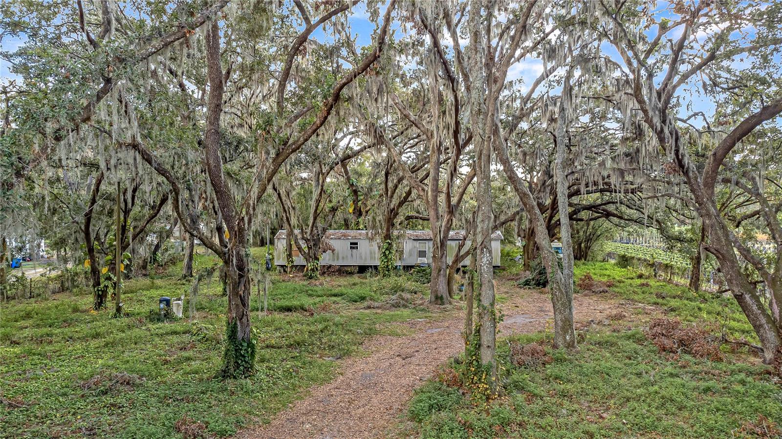 6615 THONOTOSASSA RD, PLANT CITY, FL, 33565