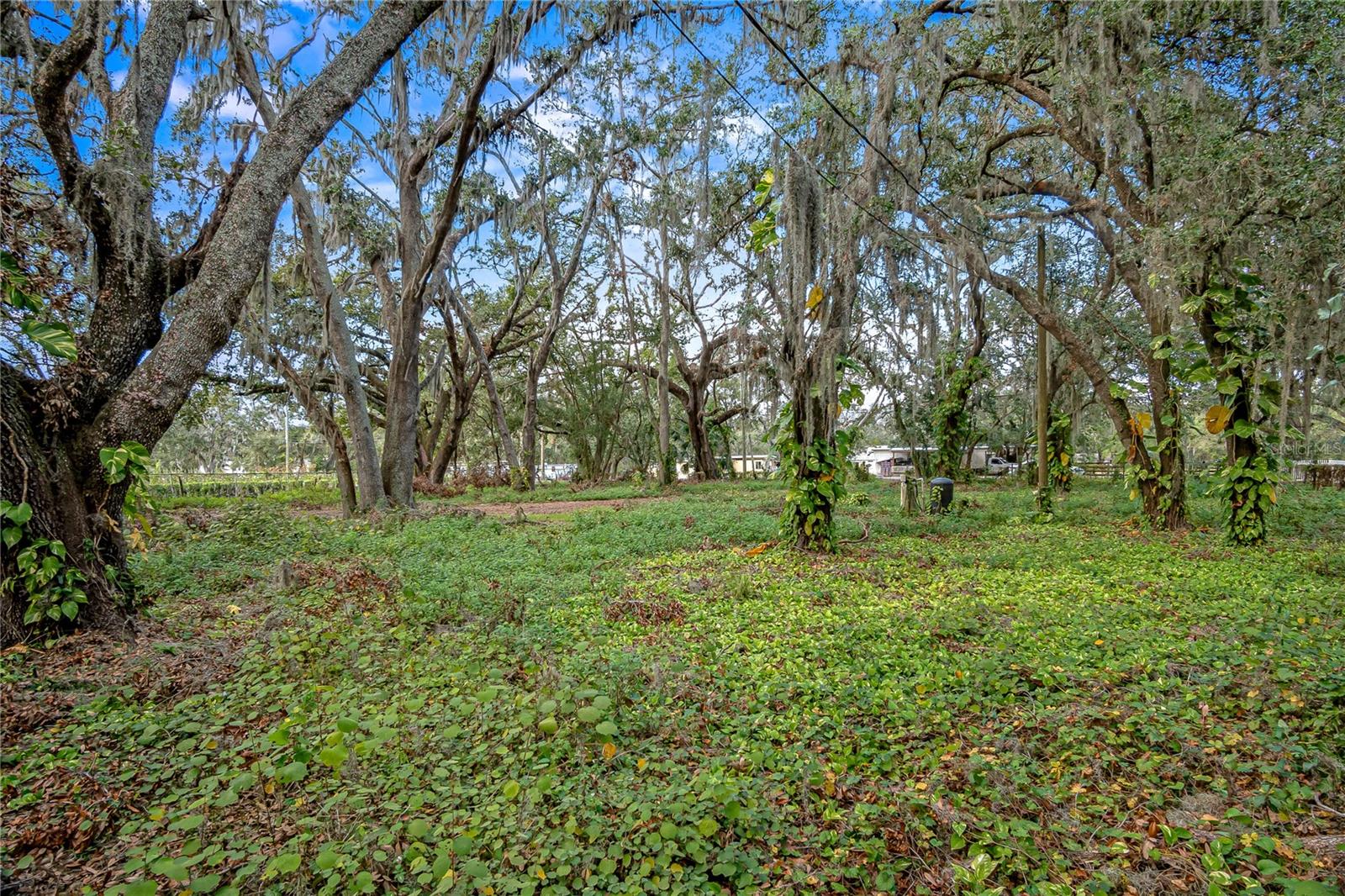 6615 THONOTOSASSA RD, PLANT CITY, FL, 33565