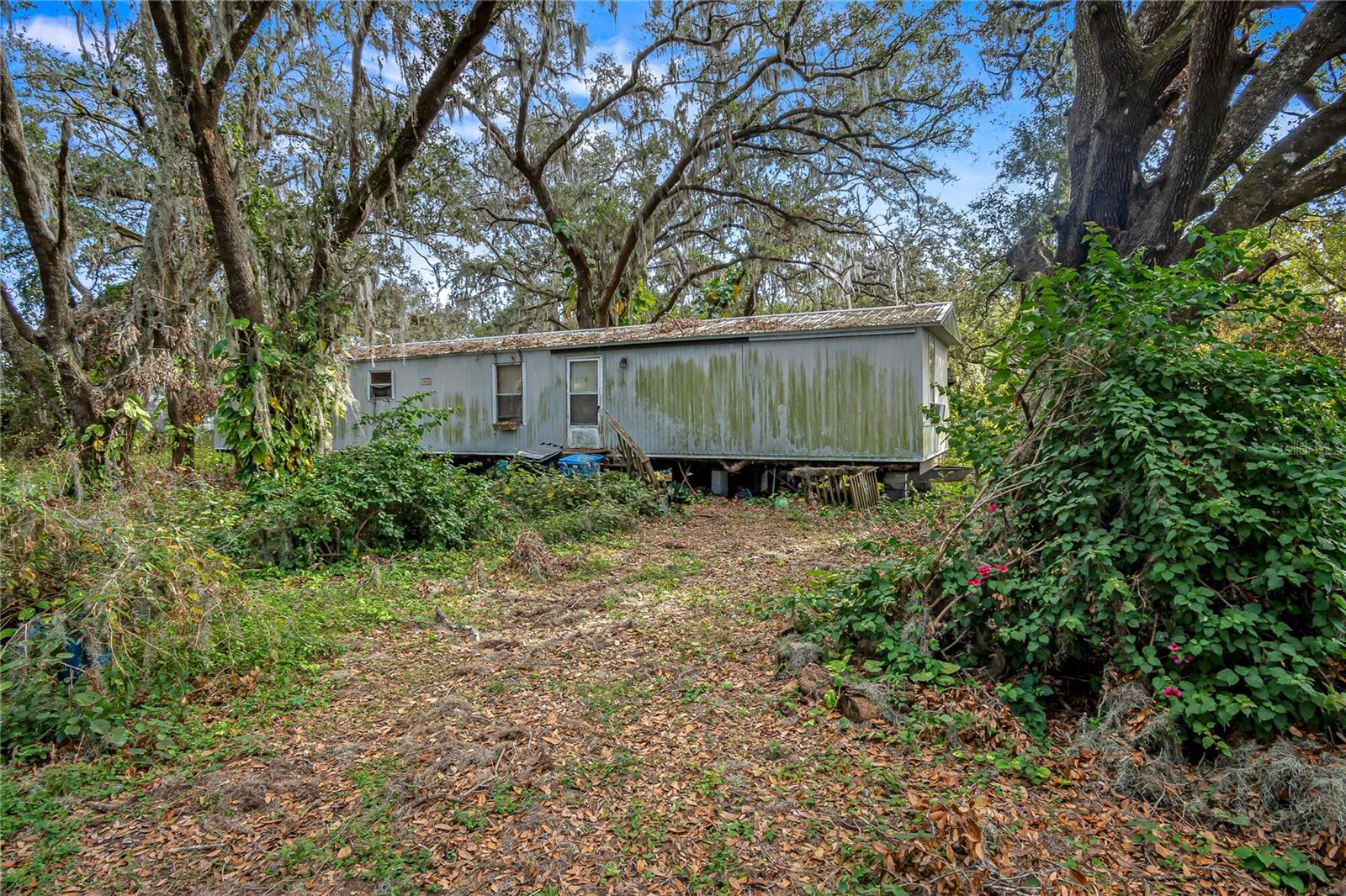 6615 THONOTOSASSA RD, PLANT CITY, FL, 33565