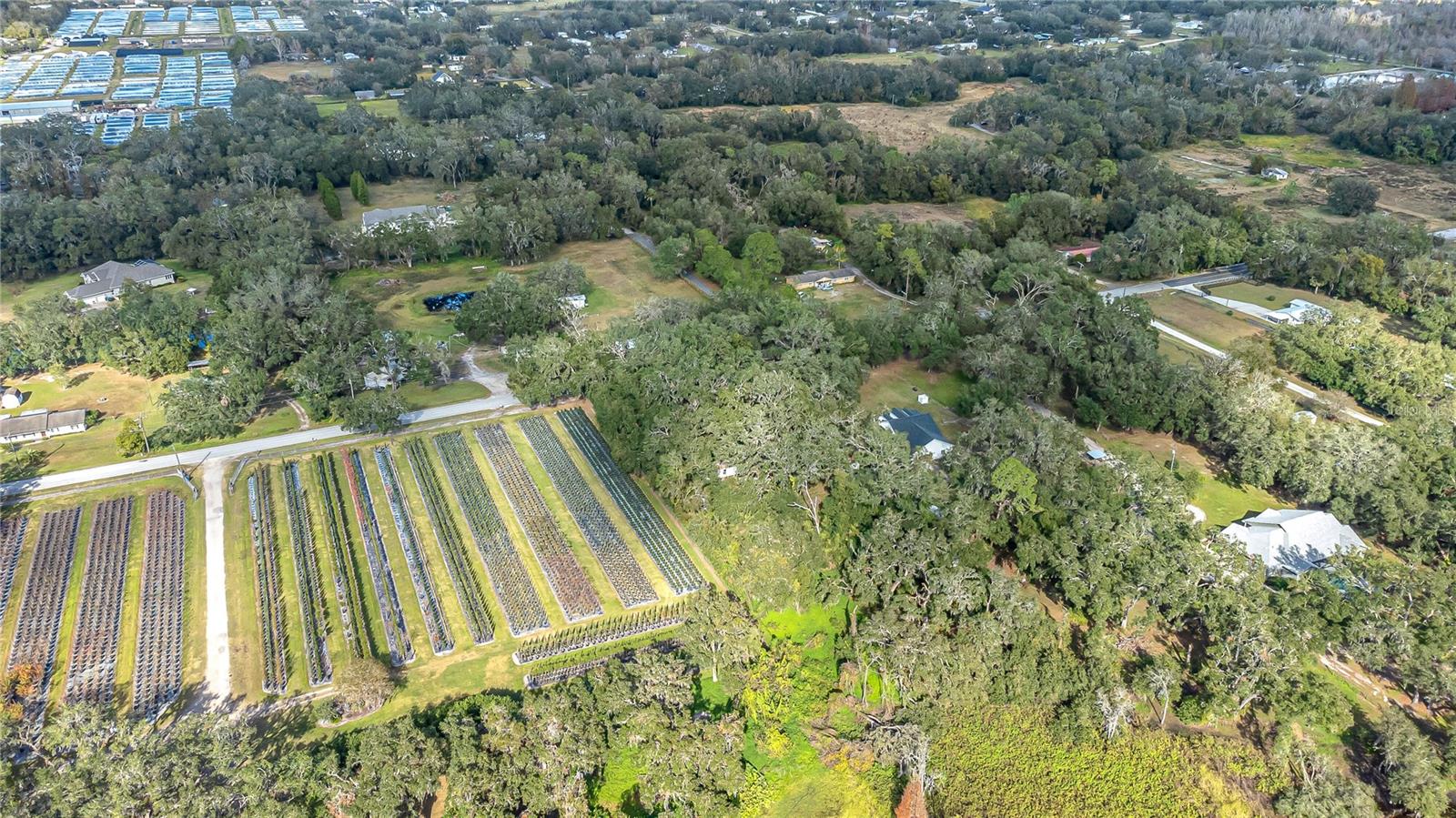 6615 THONOTOSASSA RD, PLANT CITY, FL, 33565