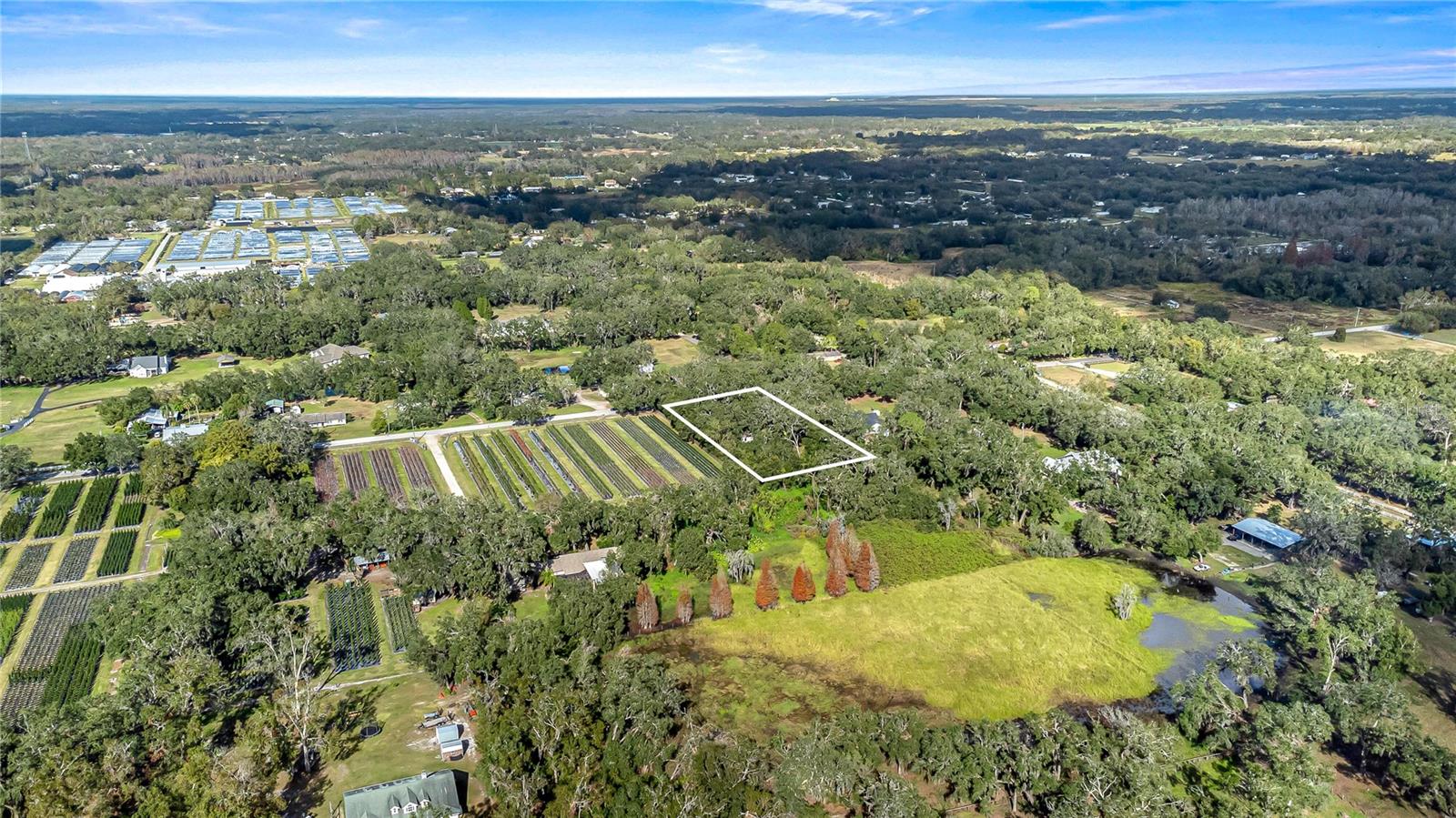 6615 THONOTOSASSA RD, PLANT CITY, FL, 33565