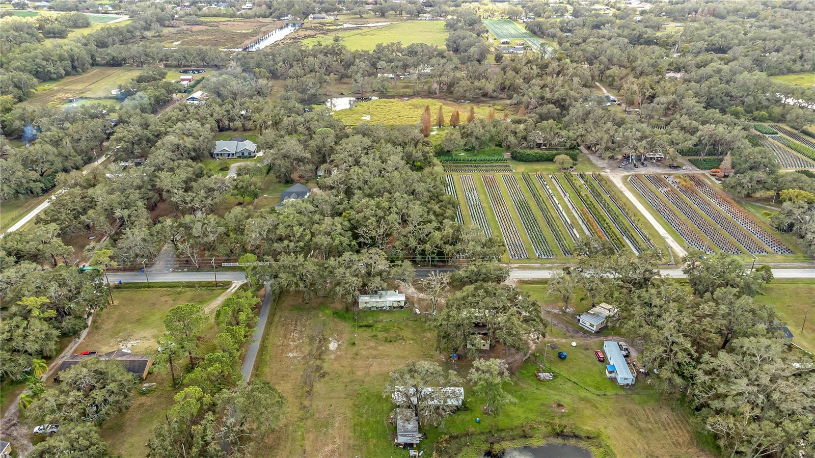 6615 THONOTOSASSA RD, PLANT CITY, FL, 33565