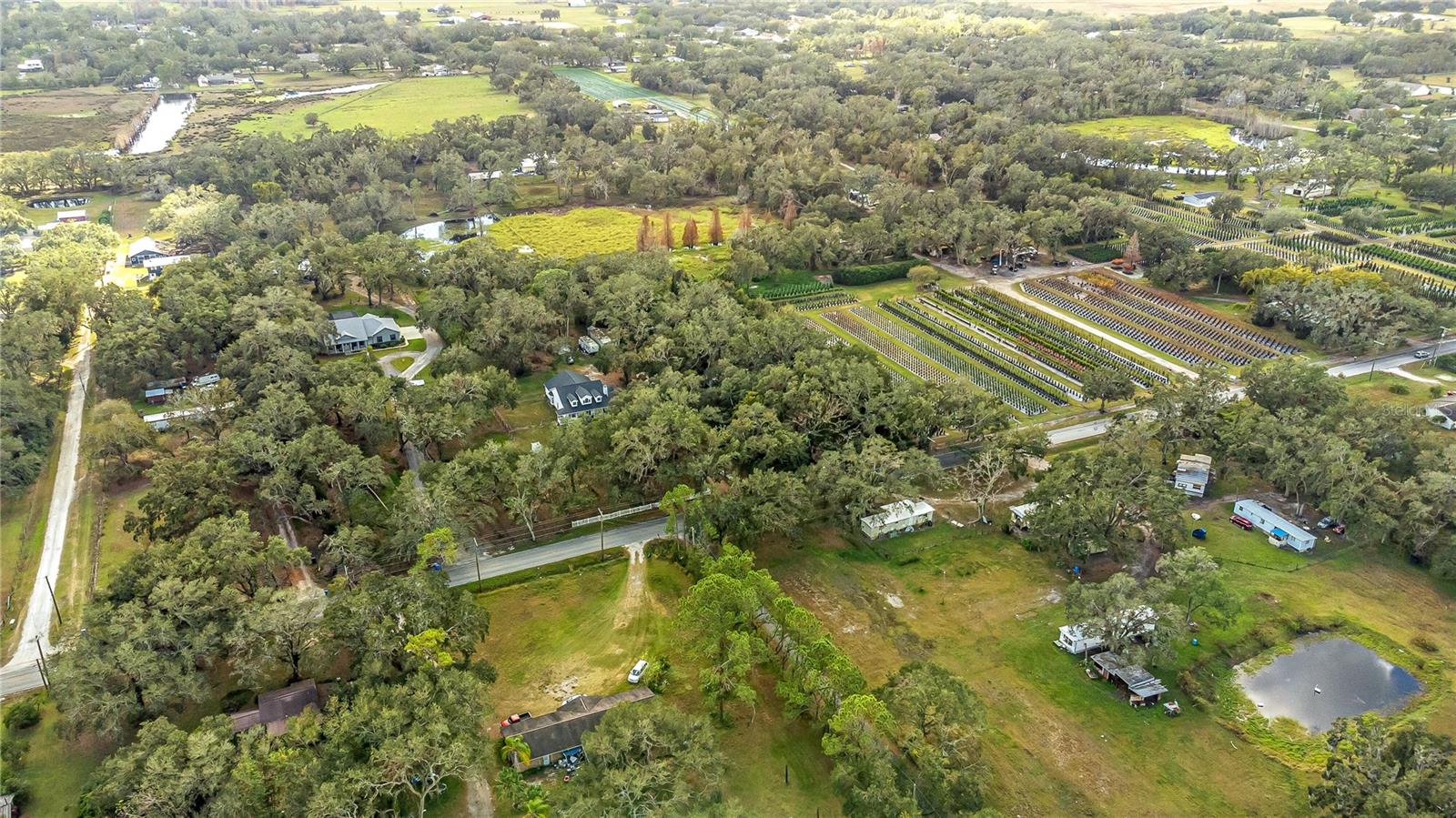 6615 THONOTOSASSA RD, PLANT CITY, FL, 33565