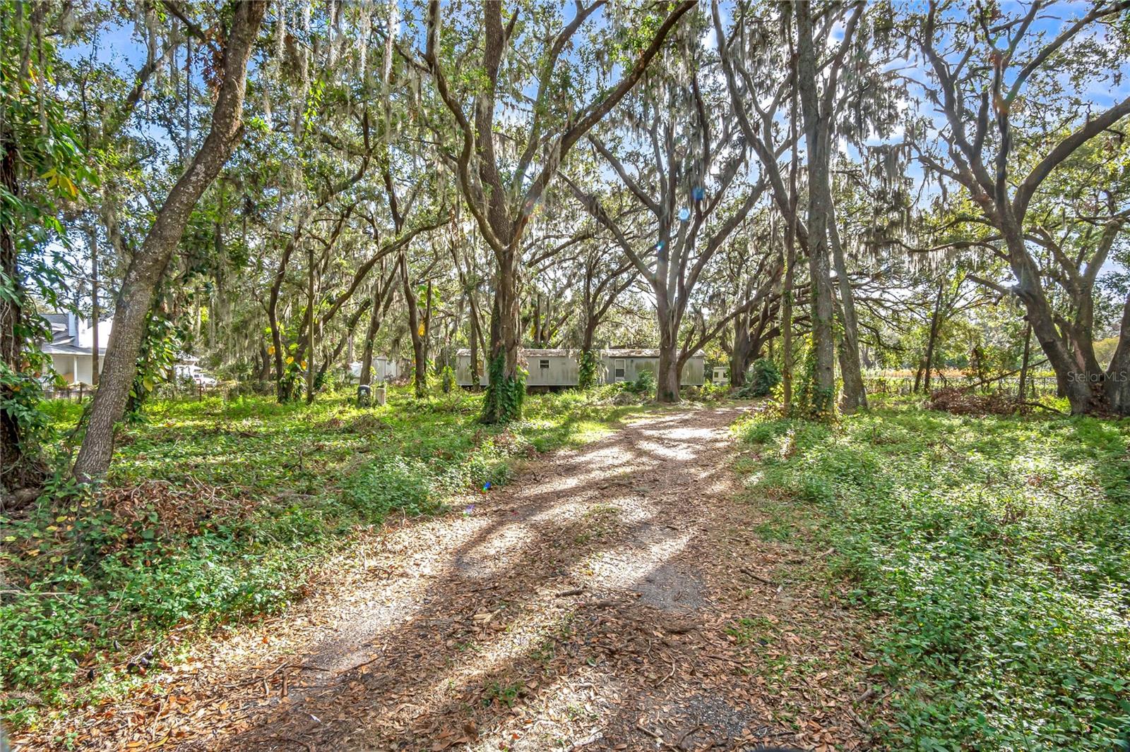 6615 THONOTOSASSA RD, PLANT CITY, FL, 33565