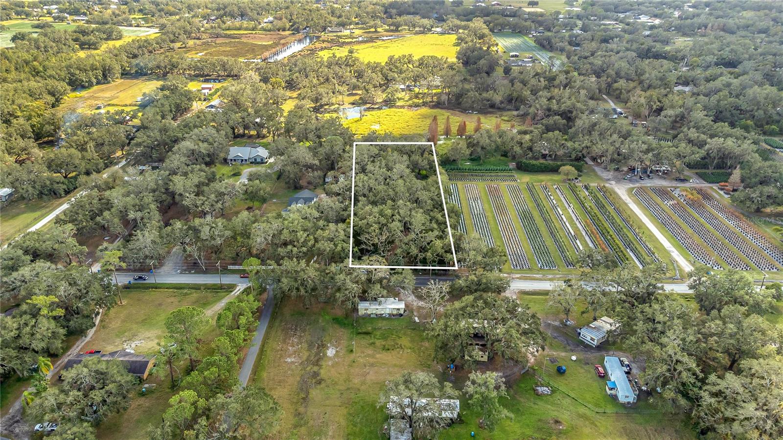 6615 THONOTOSASSA RD, PLANT CITY, FL, 33565