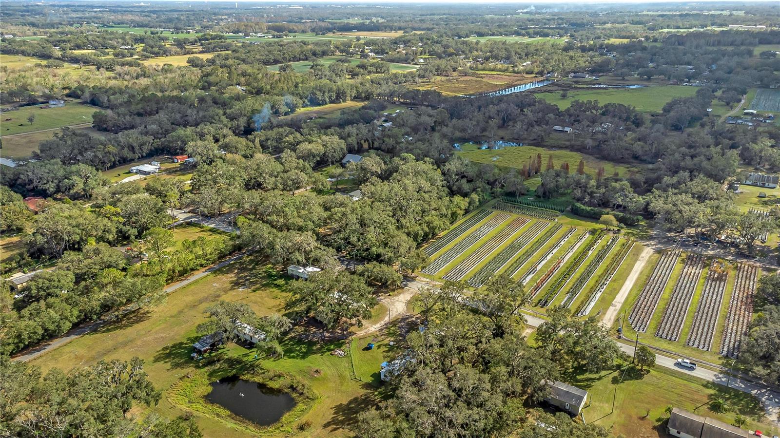 6615 THONOTOSASSA RD, PLANT CITY, FL, 33565