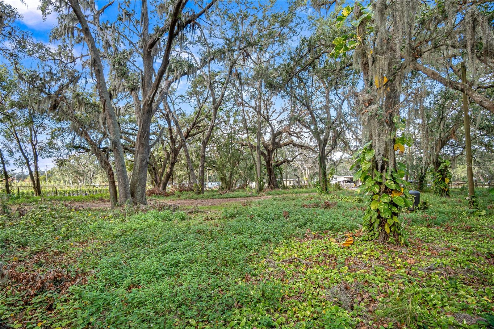 6615 THONOTOSASSA RD, PLANT CITY, FL, 33565