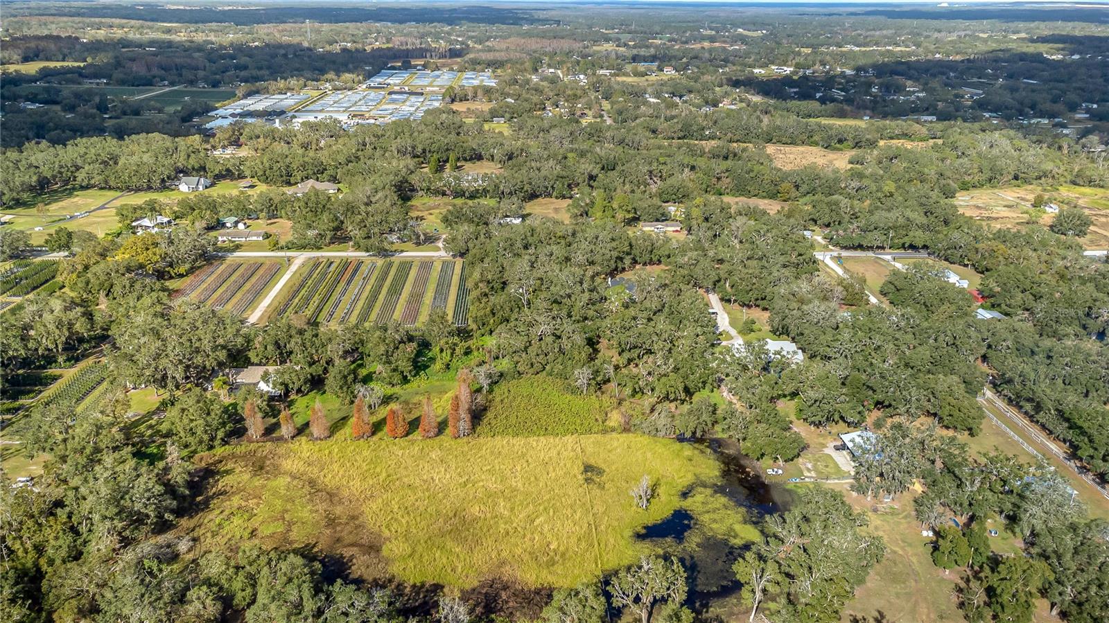6615 THONOTOSASSA RD, PLANT CITY, FL, 33565
