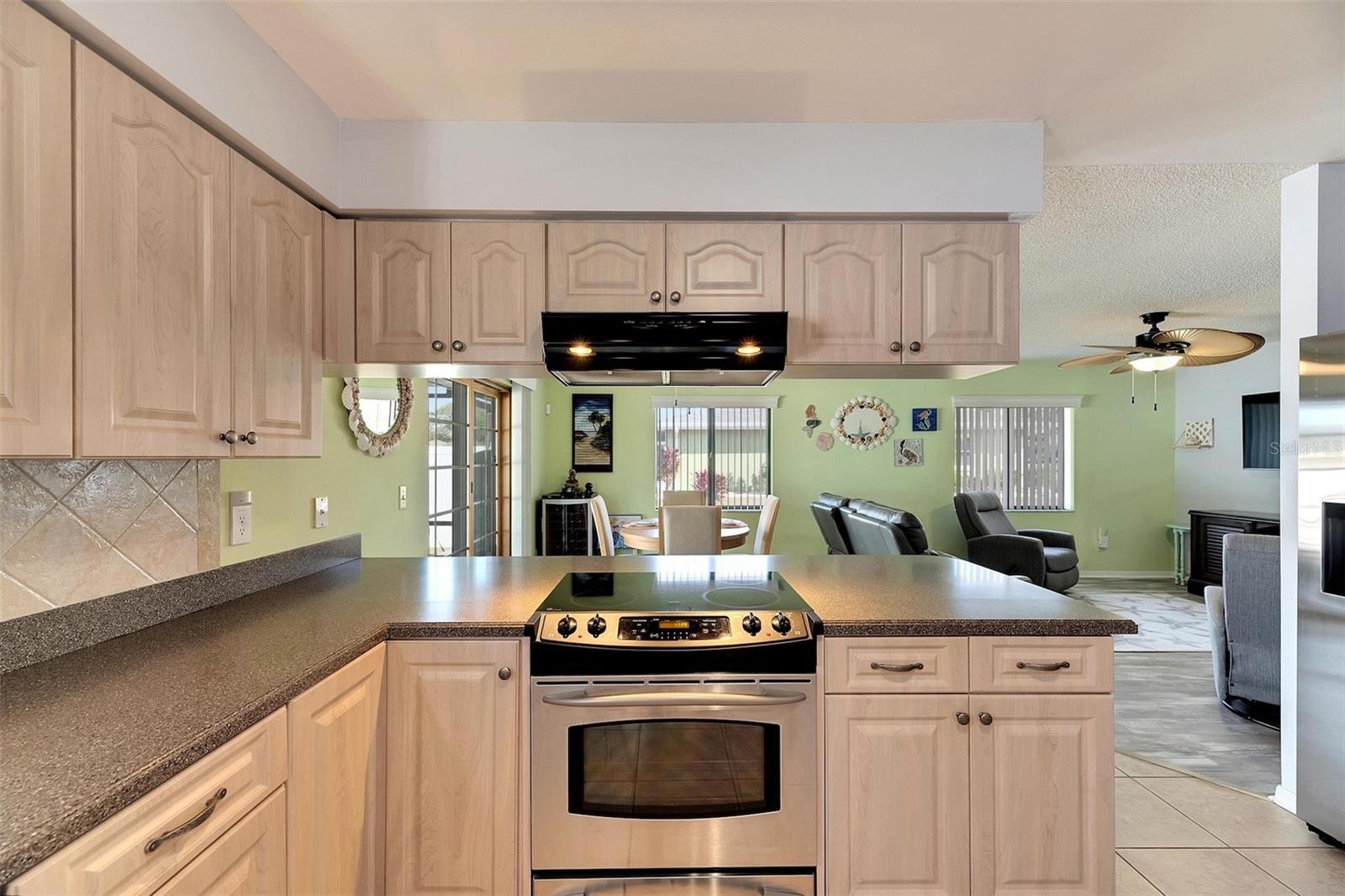 1719 S PEBBLE BEACH BLVD, SUN CITY CENTER, FL, 33573