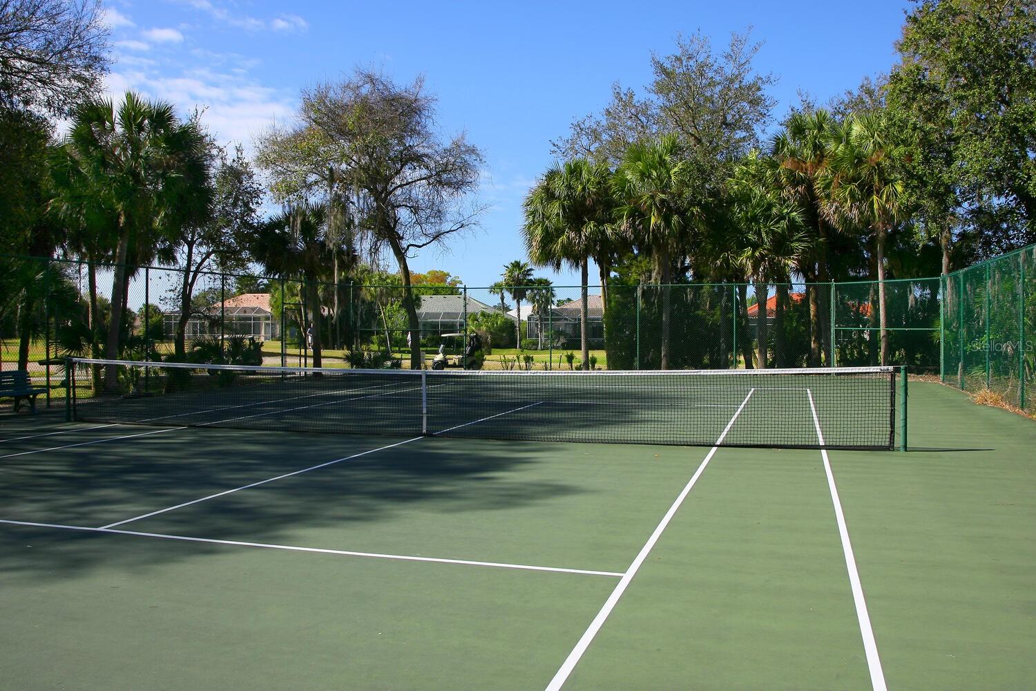 359 TURTLEBACK XING, VENICE, FL, 34292