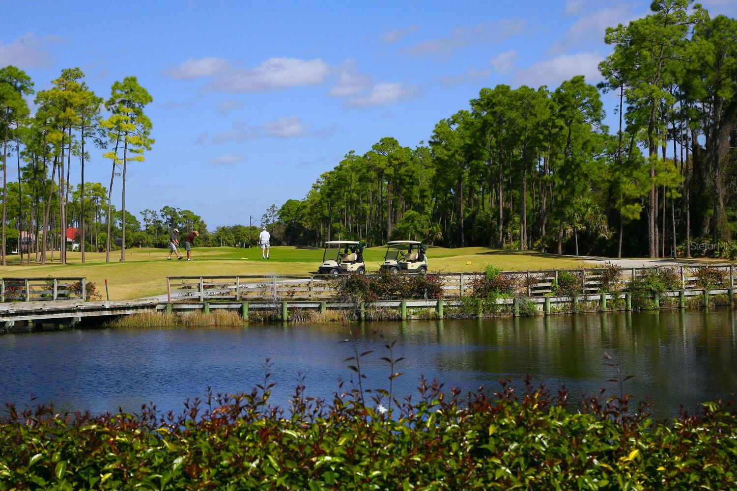 359 TURTLEBACK XING, VENICE, FL, 34292