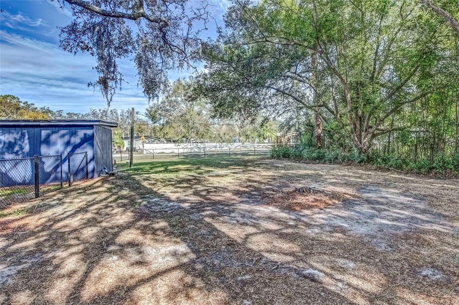 1446 OSCEOLA HOLLOW RD, ODESSA, FL, 33556
