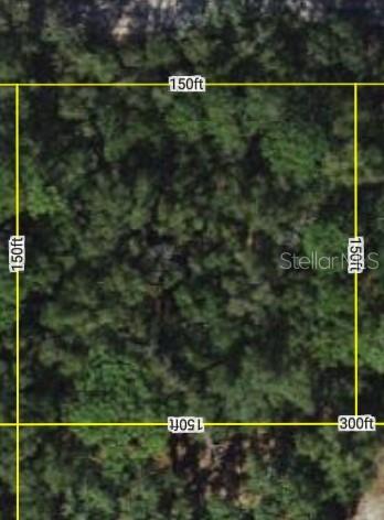 4819 SW 123RD RD, WEBSTER, FL, 33597