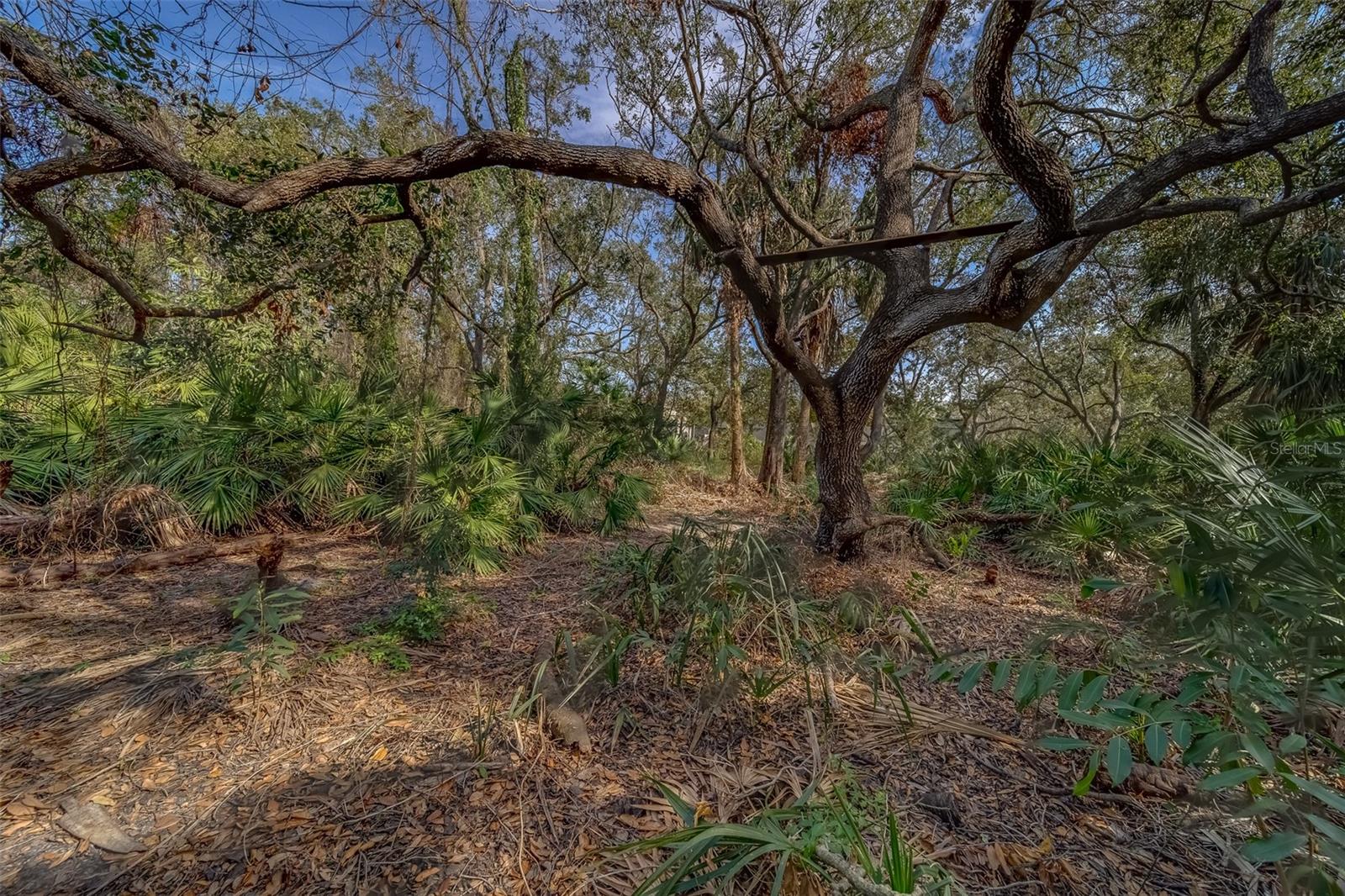 FITZGERALD, TAMPA, FL, 33616