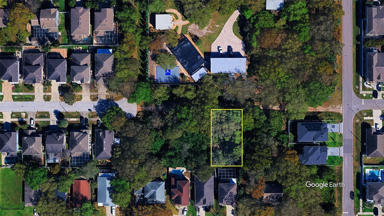 FITZGERALD, TAMPA, FL, 33616