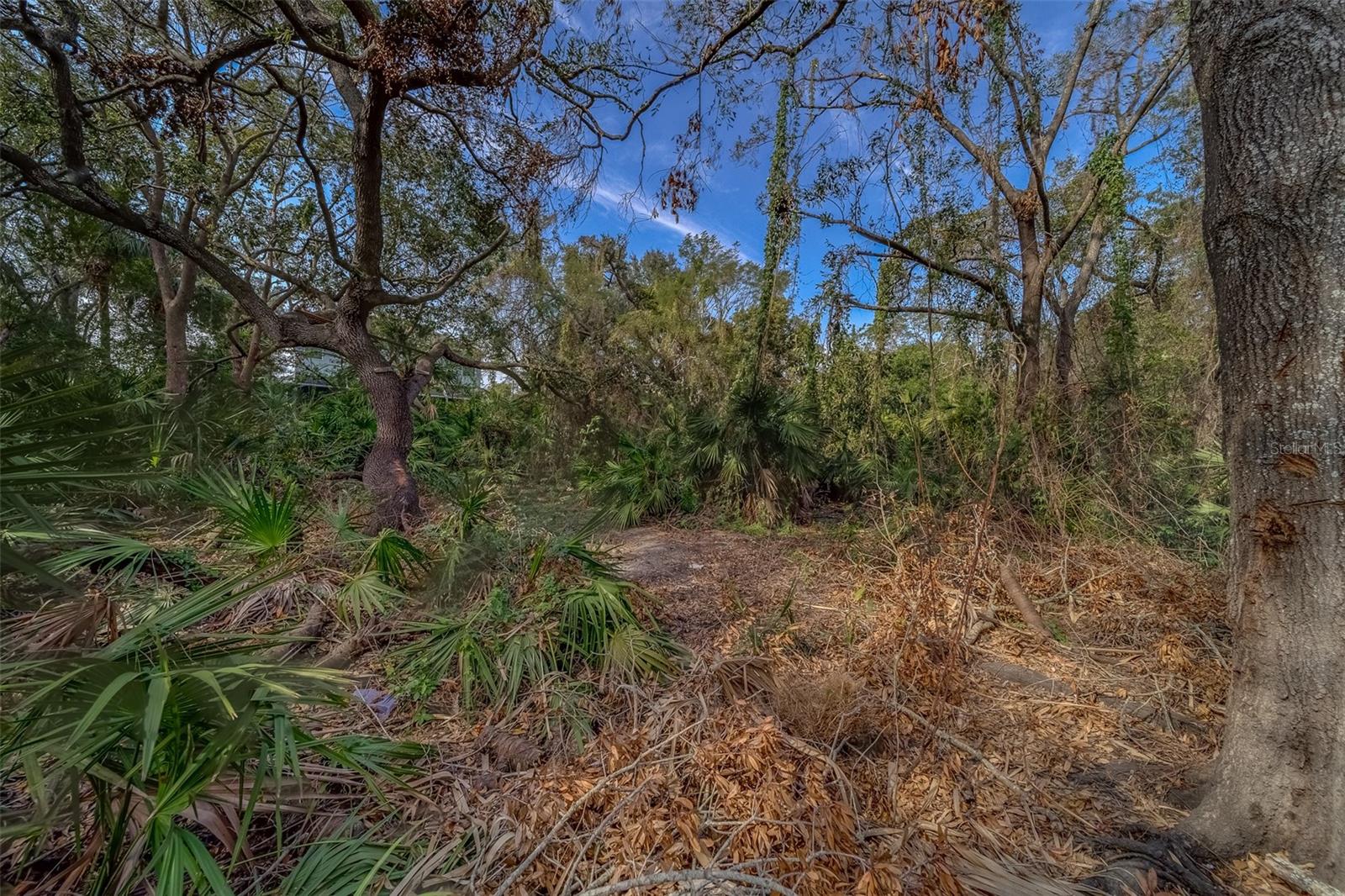 FITZGERALD, TAMPA, FL, 33616