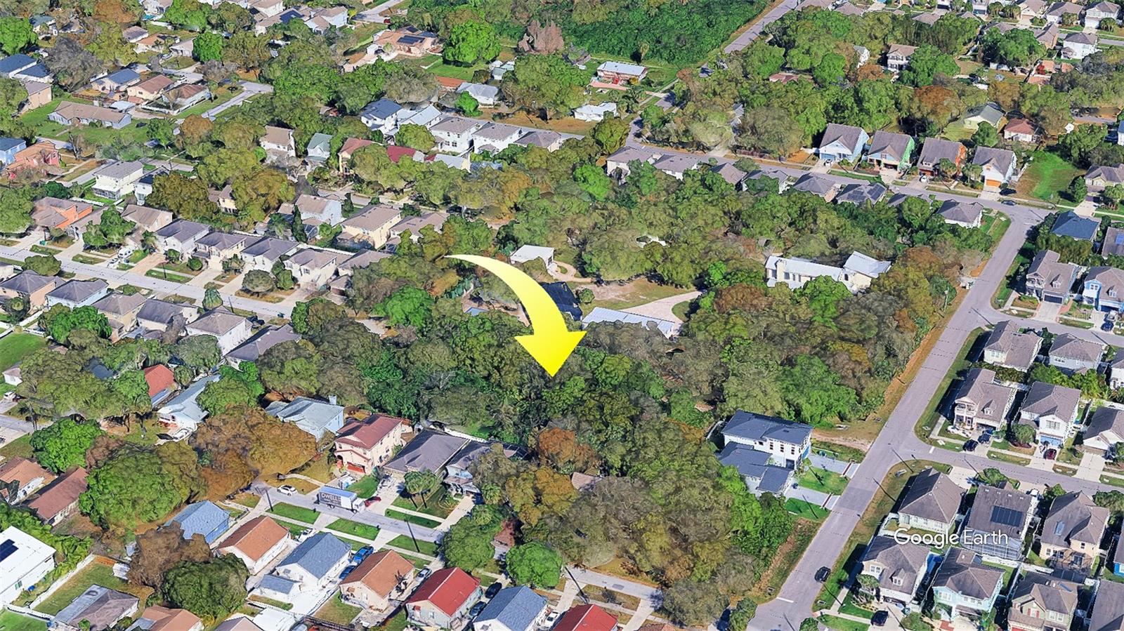 FITZGERALD, TAMPA, FL, 33616