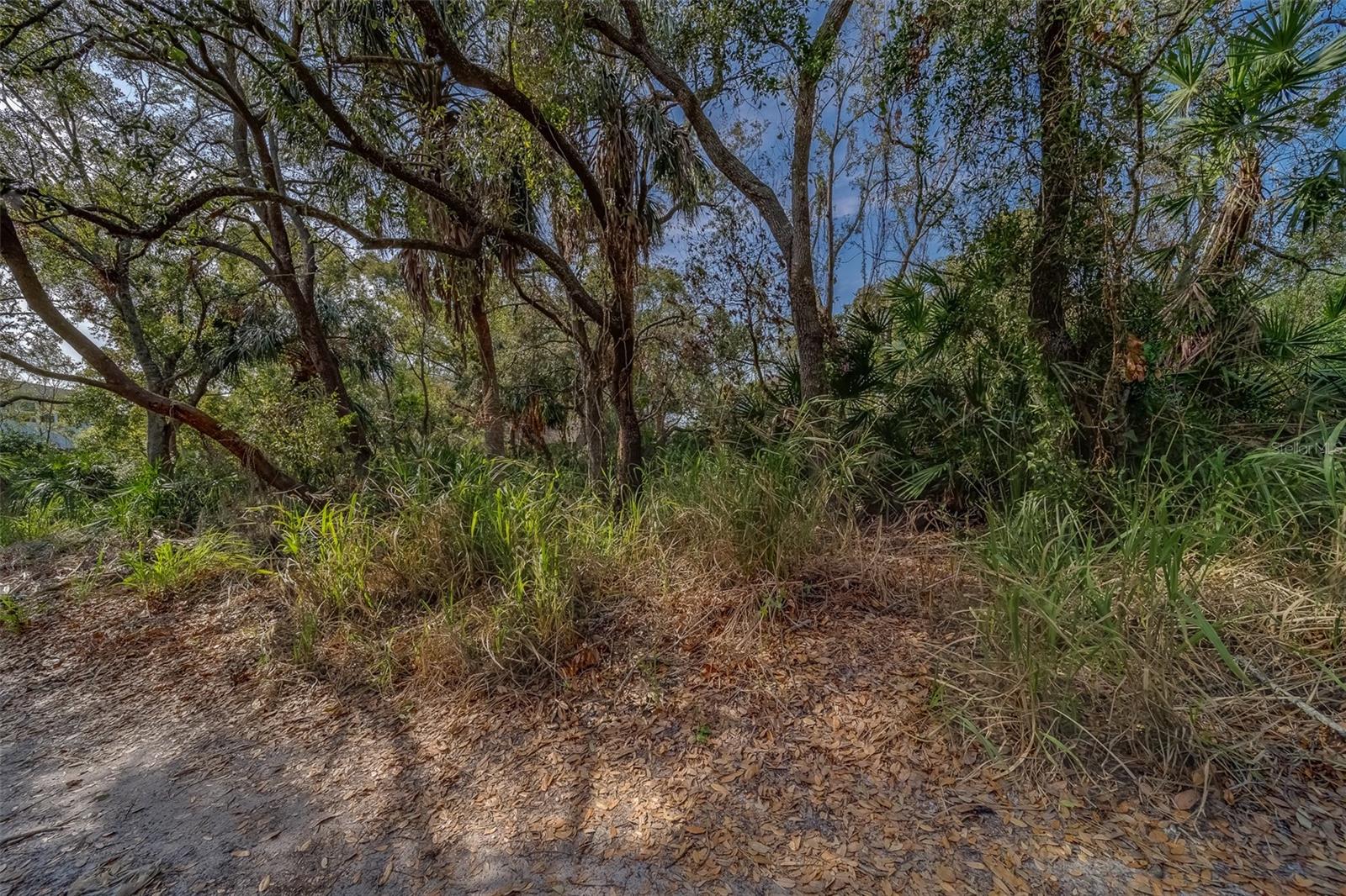FITZGERALD, TAMPA, FL, 33616