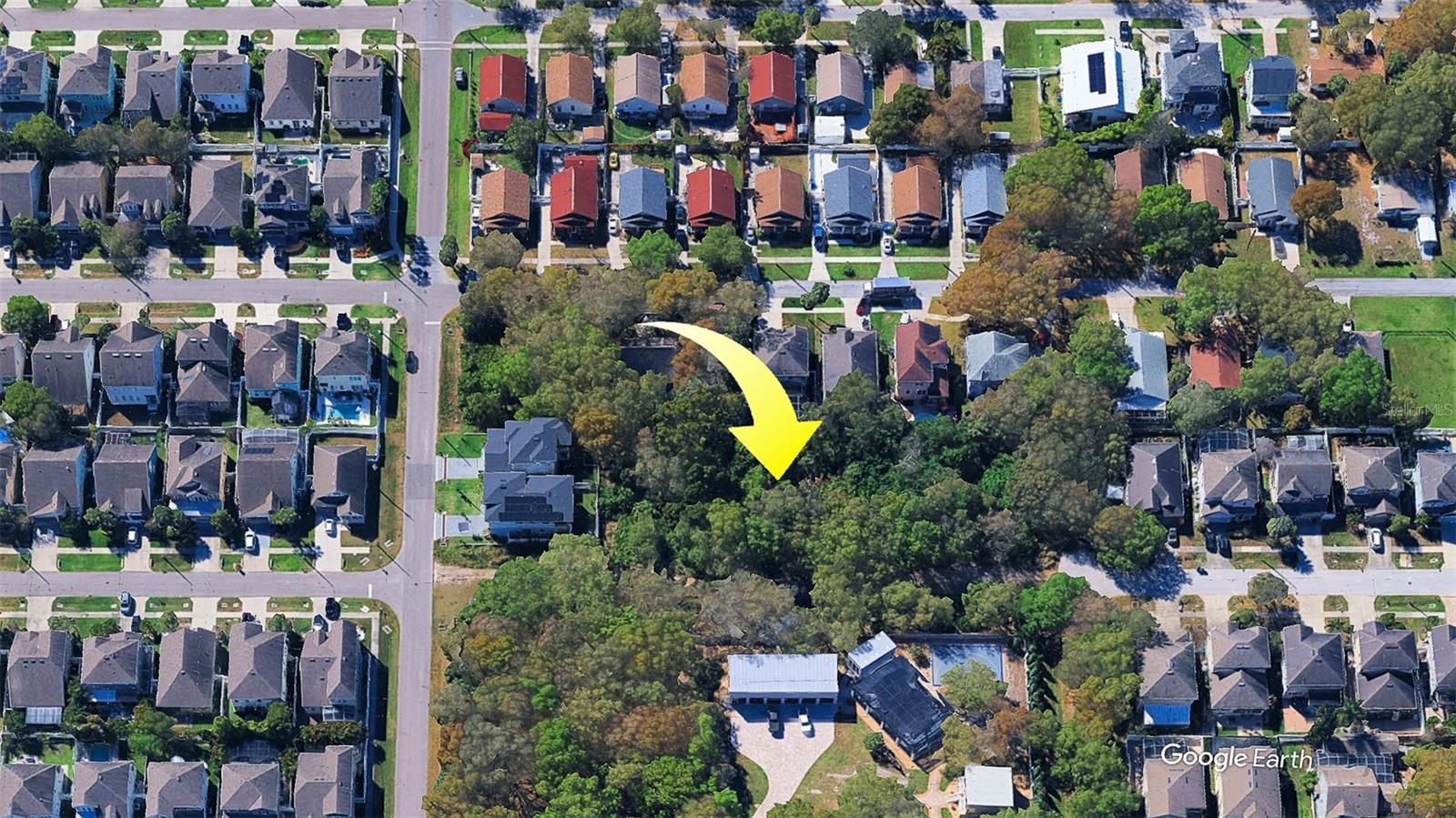 FITZGERALD, TAMPA, FL, 33616