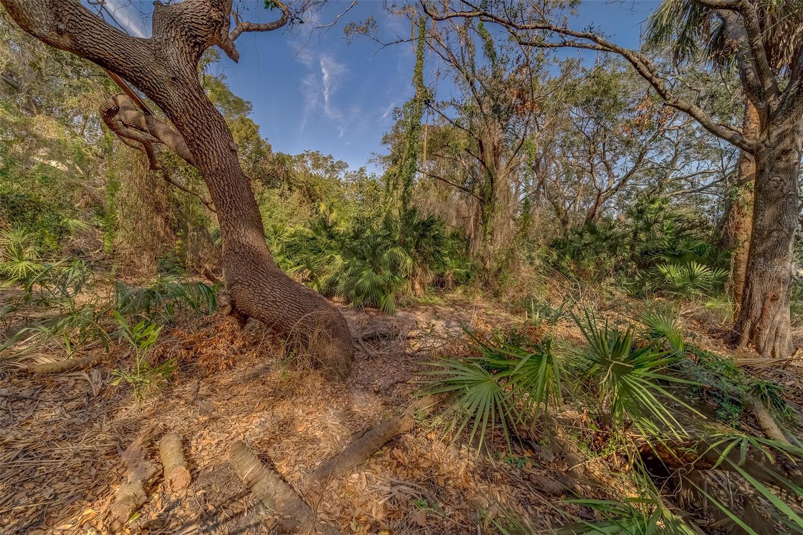 FITZGERALD, TAMPA, FL, 33616