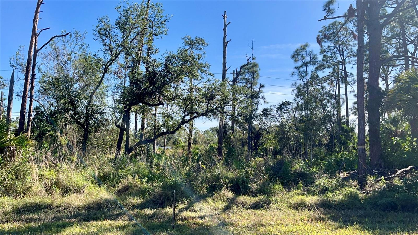 14864 ROTHSCHILD AVE, PORT CHARLOTTE, FL, 33953