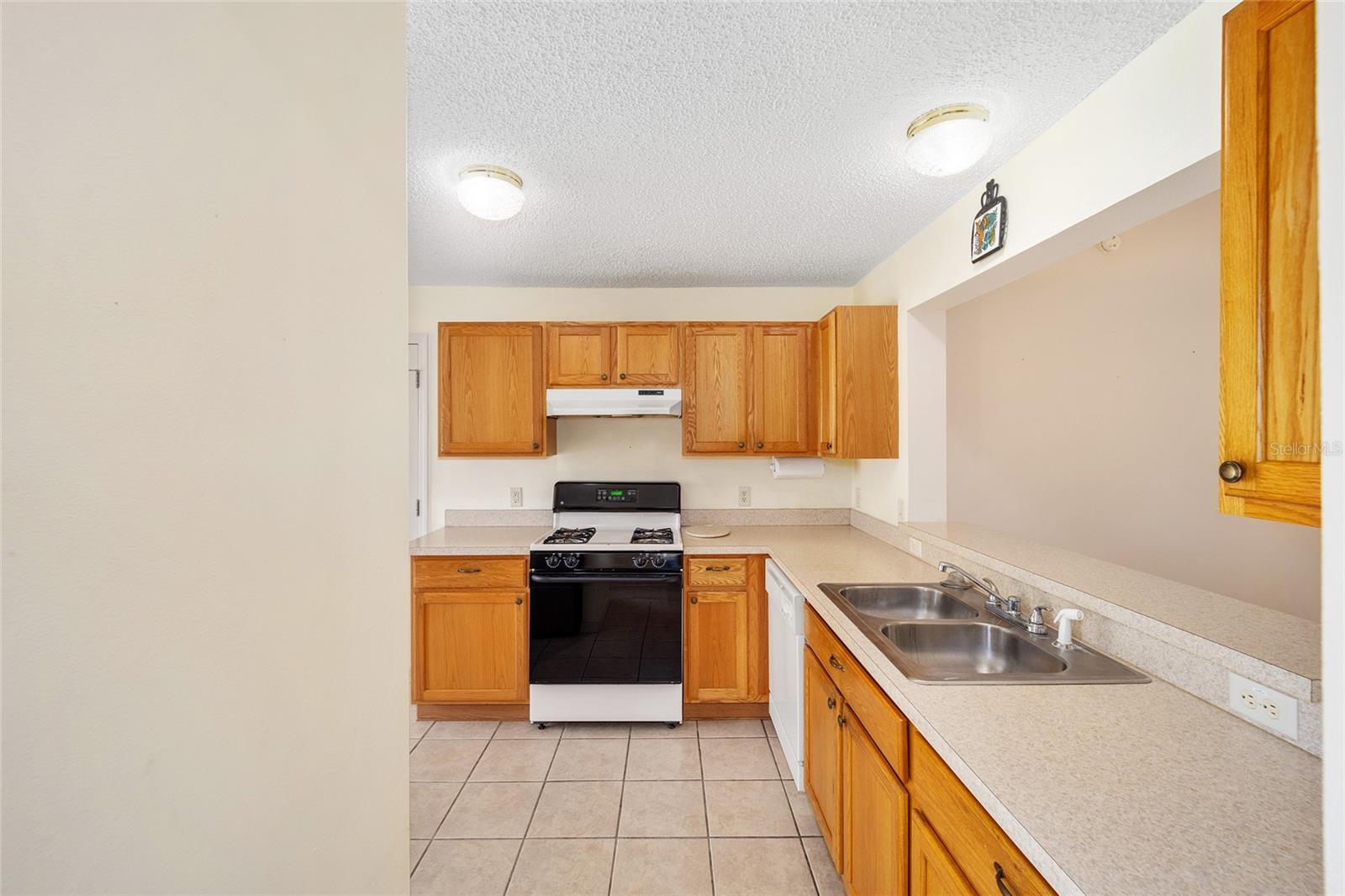 16847 SE 85TH SAPELO CT, THE VILLAGES, FL, 32162