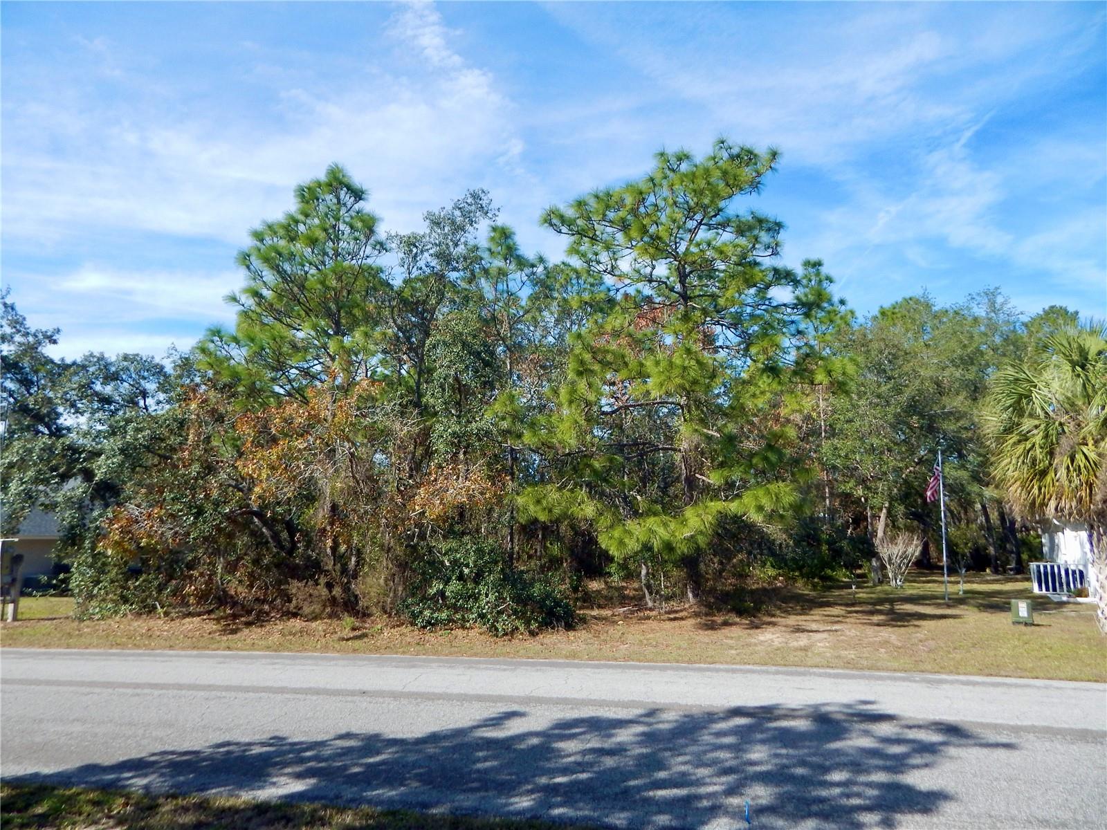 37 SPECEBERRY CIR, HOMOSASSA, FL, 34446