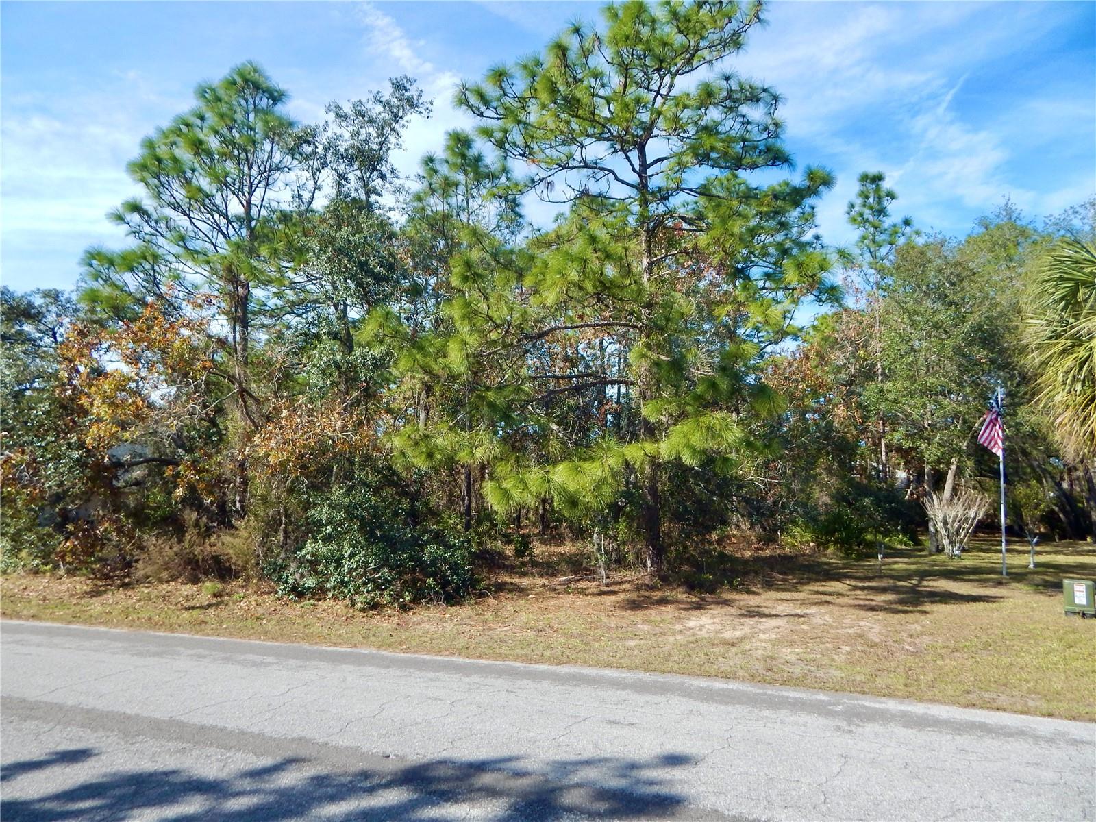 37 SPECEBERRY CIR, HOMOSASSA, FL, 34446