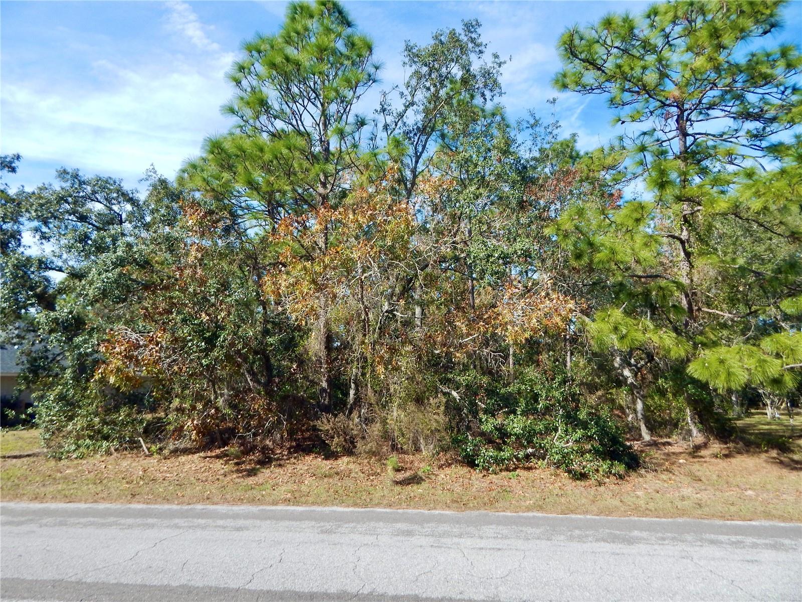 37 SPECEBERRY CIR, HOMOSASSA, FL, 34446
