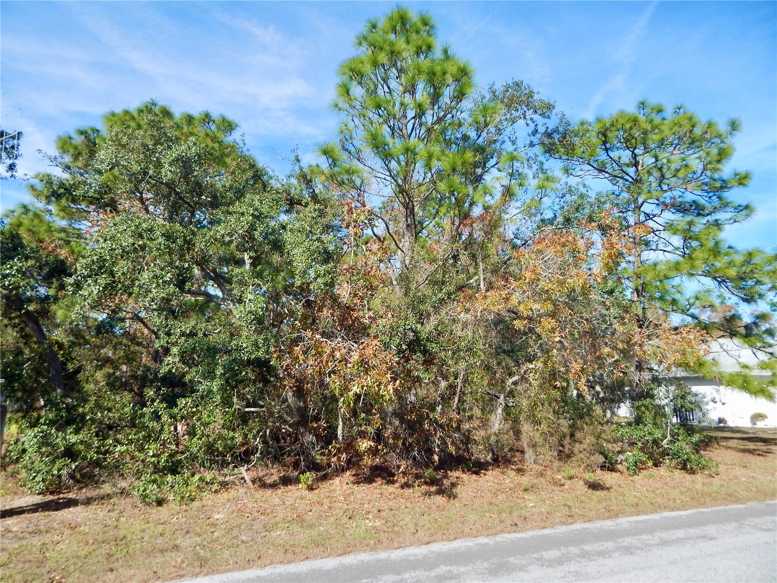 37 SPECEBERRY CIR, HOMOSASSA, FL, 34446