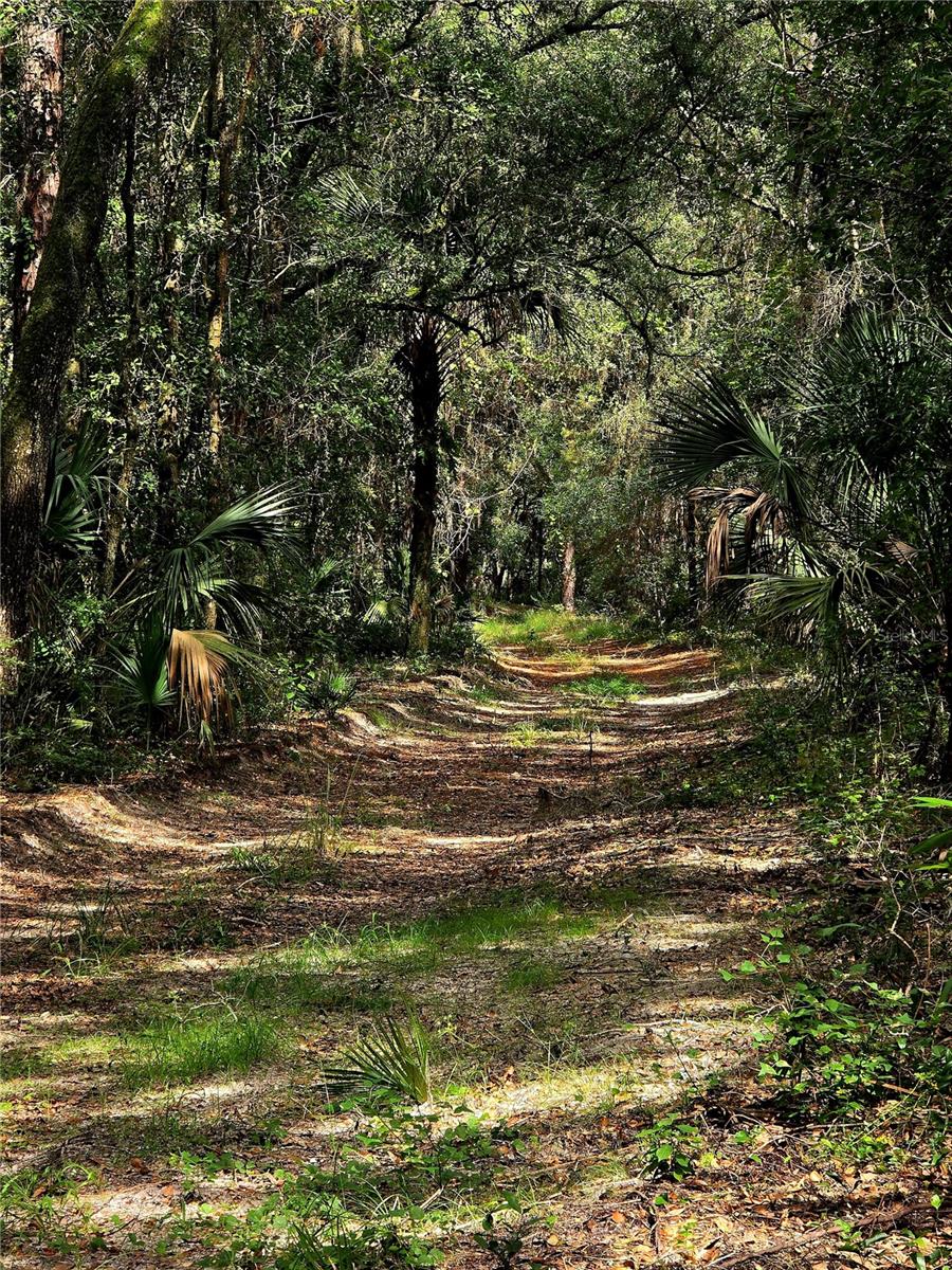 TBD NE 150TH AVENUE RD, FORT MC COY, FL, 32134