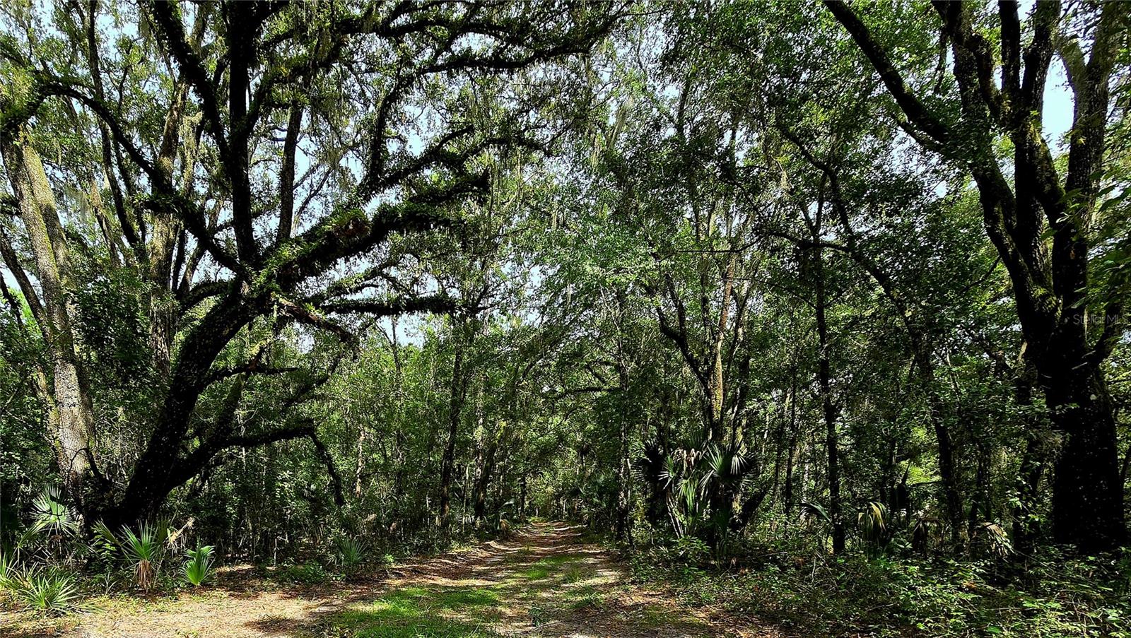 TBD NE 150TH AVENUE RD, FORT MC COY, FL, 32134
