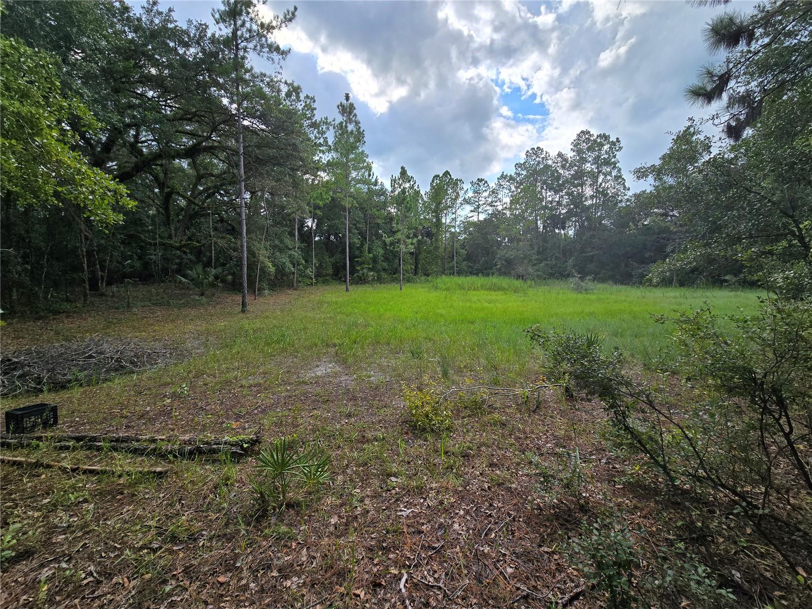 TBD NE 150TH AVENUE RD, FORT MC COY, FL, 32134