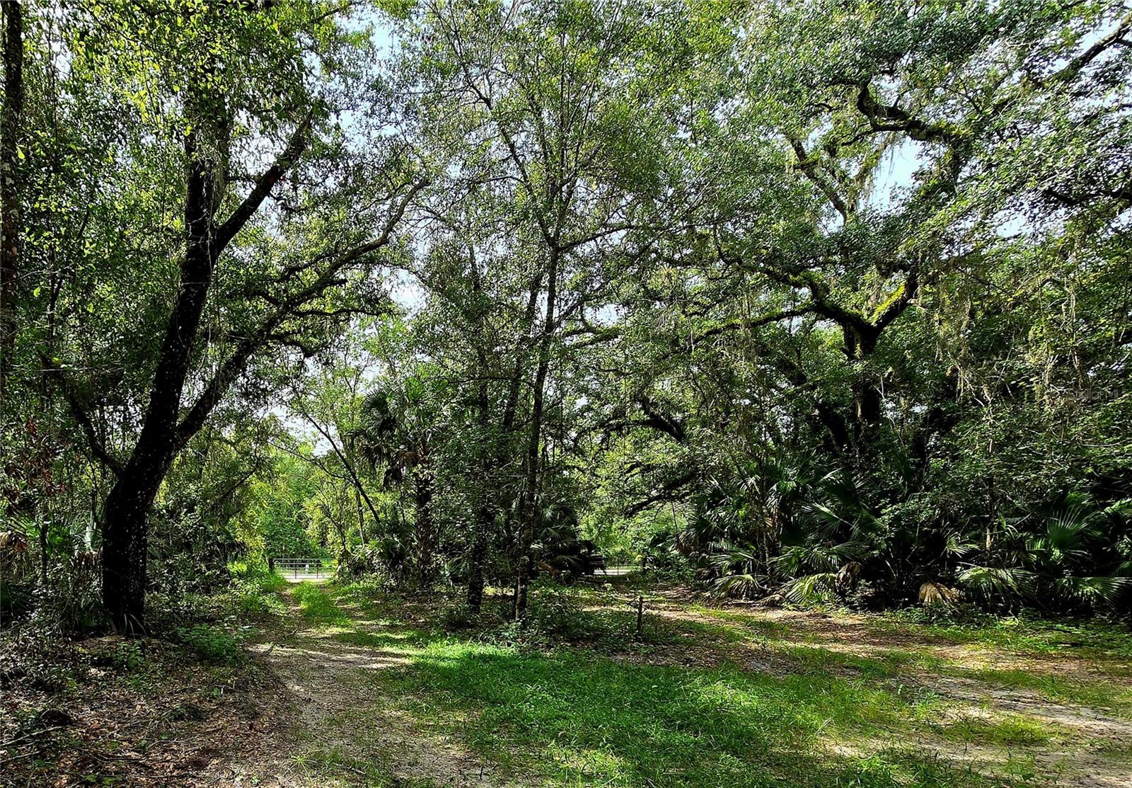 TBD NE 150TH AVENUE RD, FORT MC COY, FL, 32134