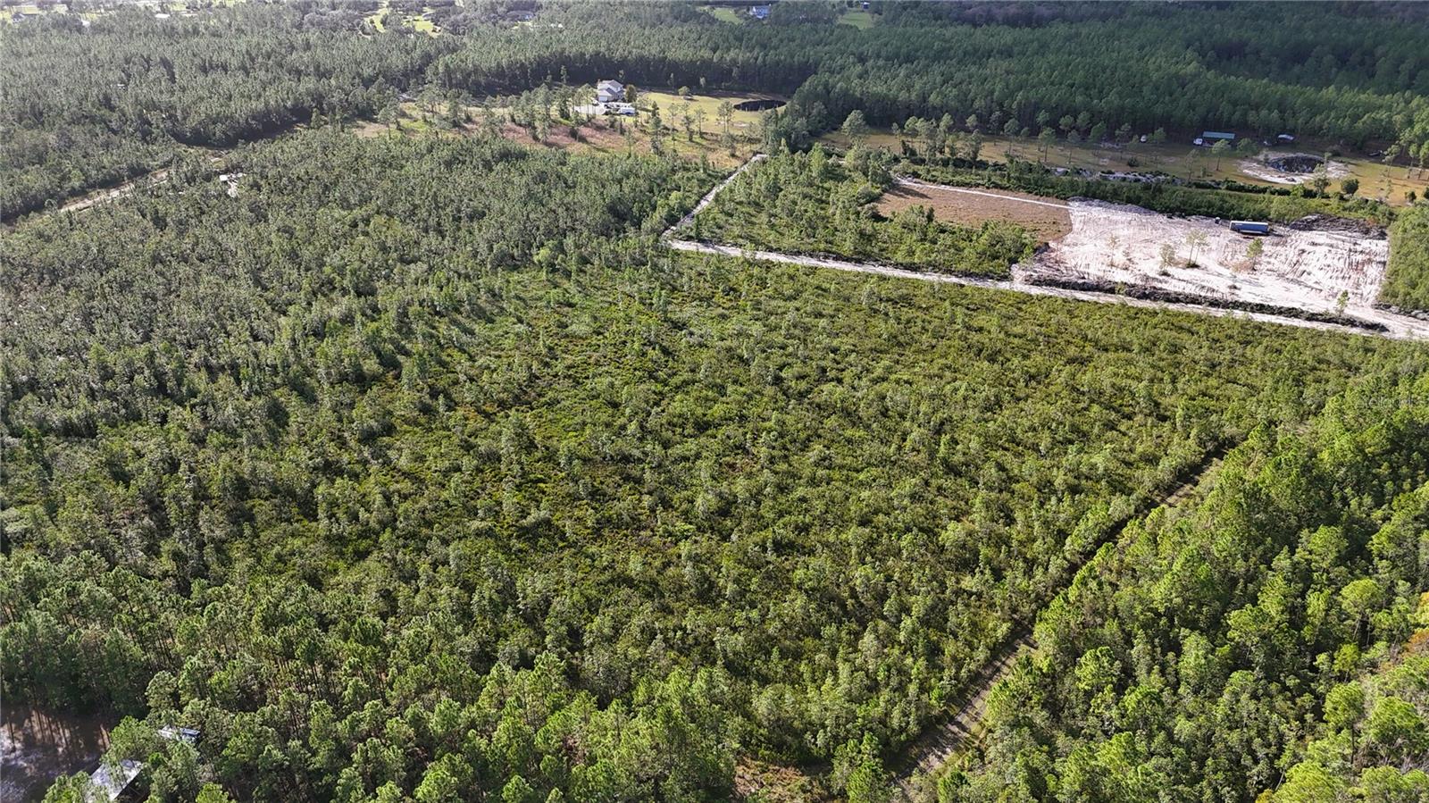 3 CHESSER HAMMOCK RD, PIERSON, FL, 32180