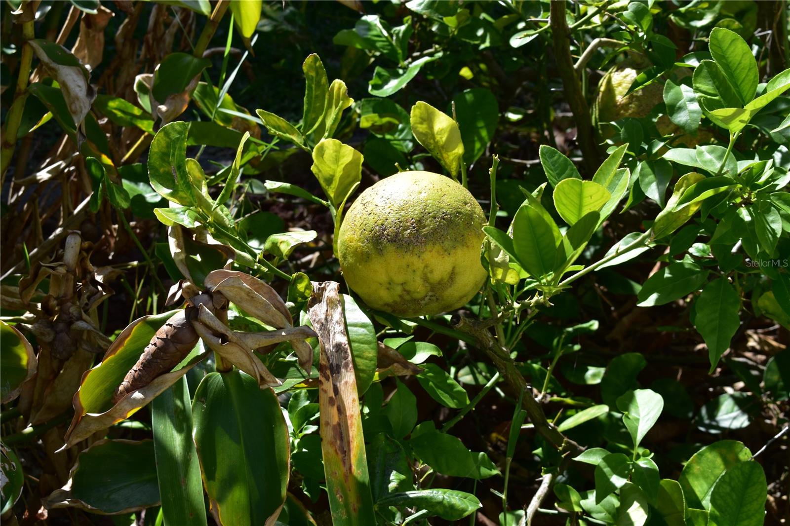 13307 EISENHOWER DR, PORT CHARLOTTE, FL, 33953