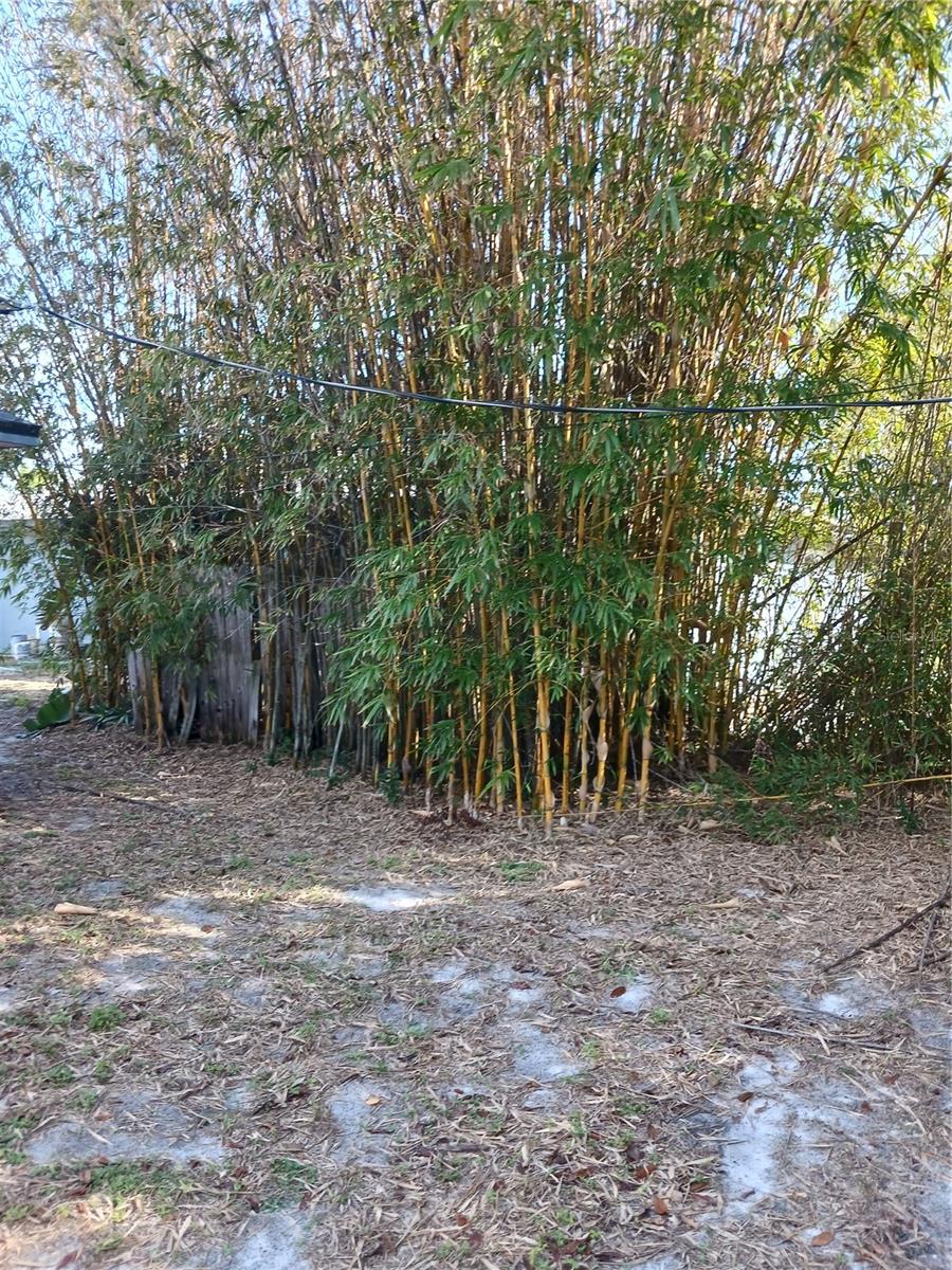 2831 PIKE LN, DELTONA, FL, 32738
