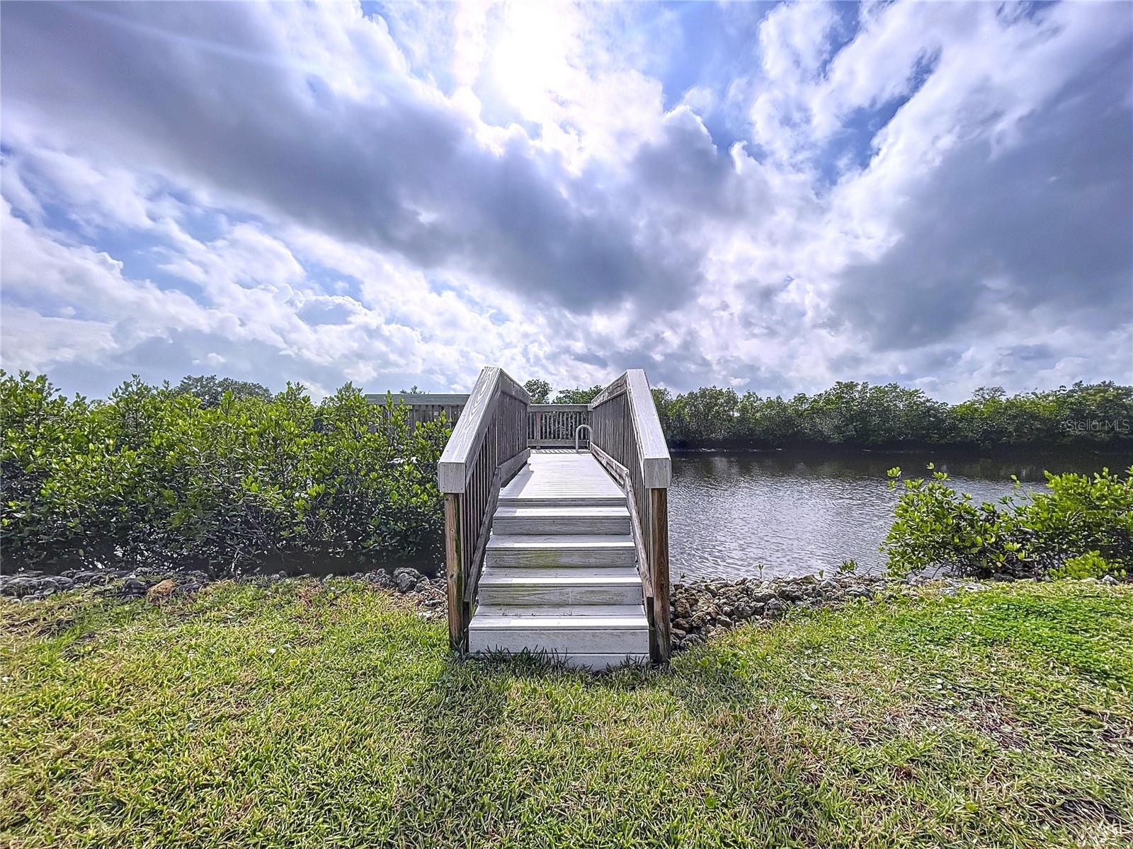 8934 ROCKY CREEK DR, TAMPA, FL, 33615