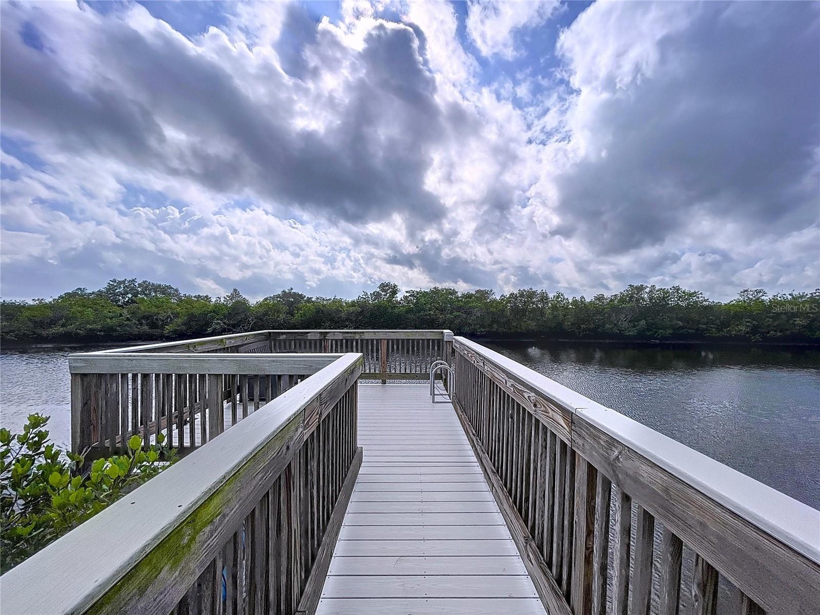 8934 ROCKY CREEK DR, TAMPA, FL, 33615