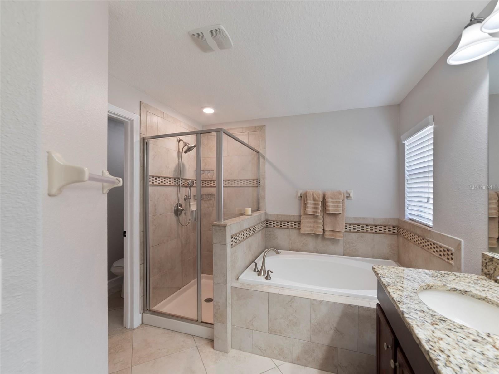 11607 BRANCH CAY CIR, RIVERVIEW, FL, 33569