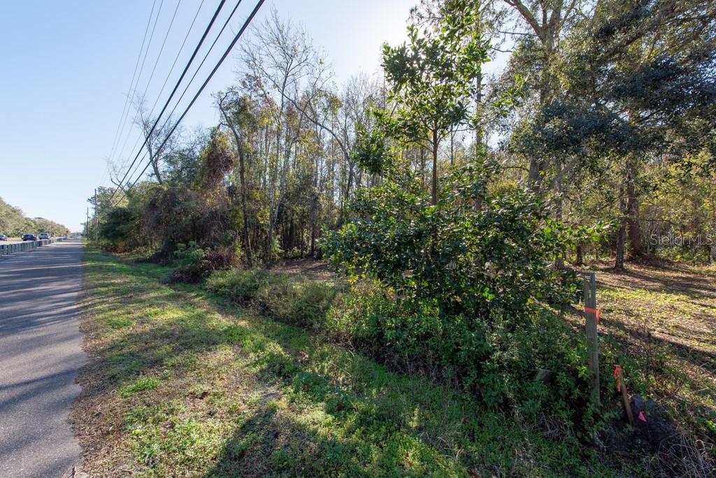 332 RANCH RD, TARPON SPRINGS, FL, 34688