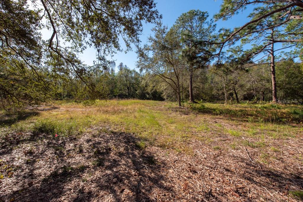 332 RANCH RD, TARPON SPRINGS, FL, 34688