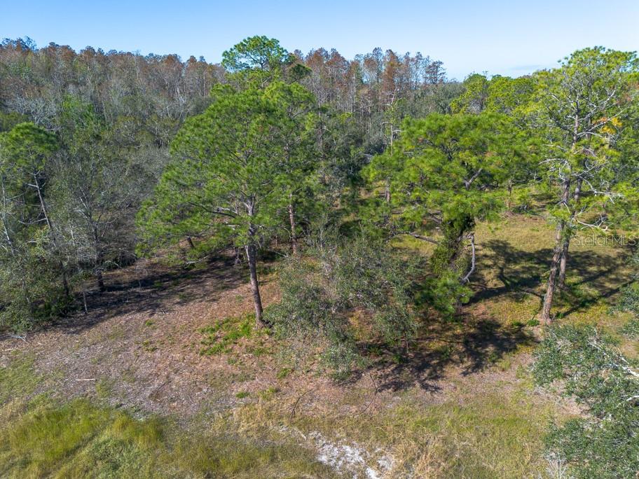 332 RANCH RD, TARPON SPRINGS, FL, 34688